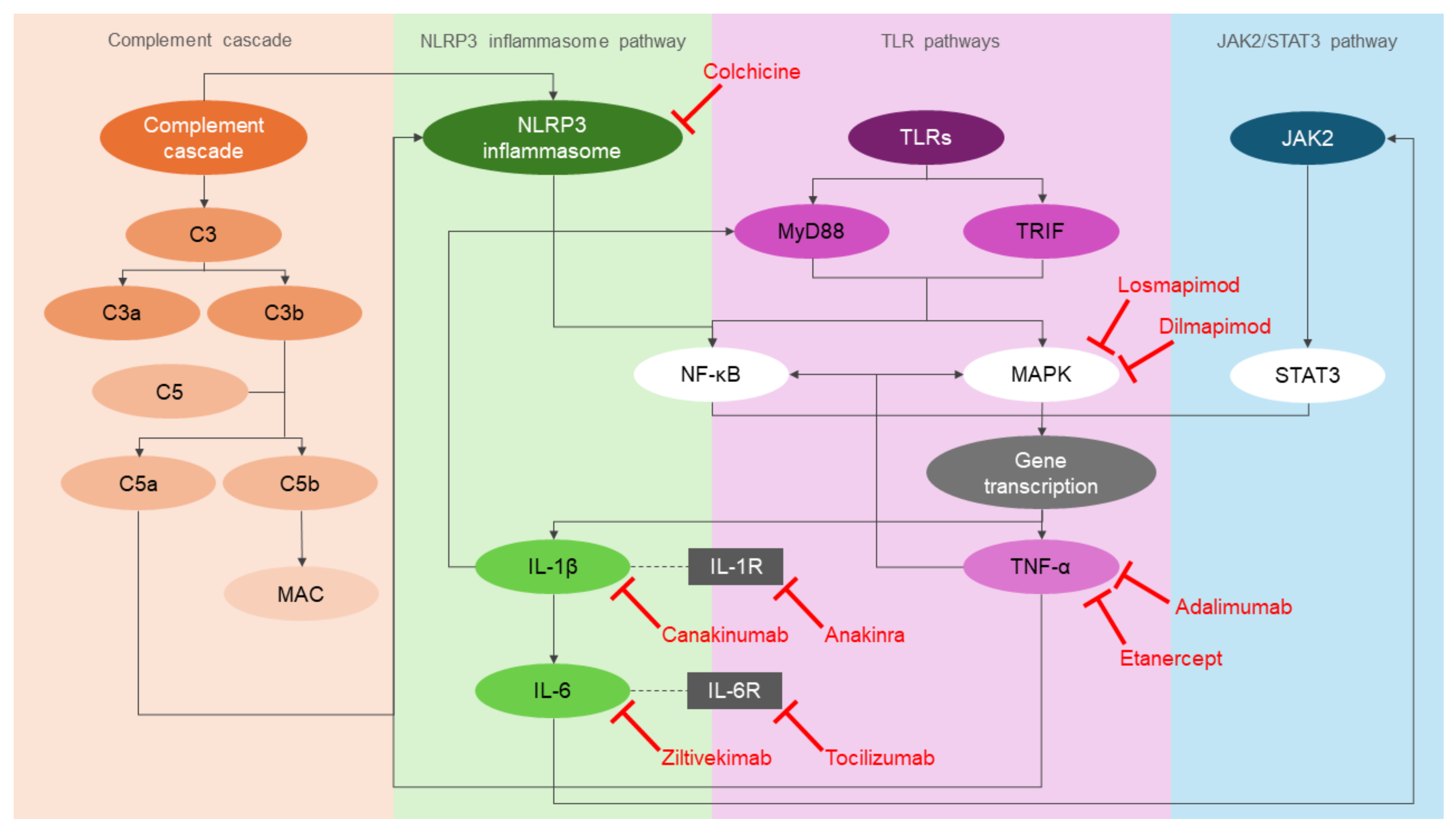 Preprints 145080 g002