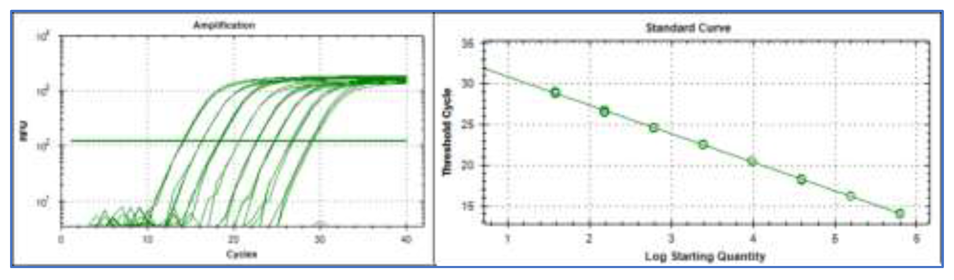Preprints 200574 g001