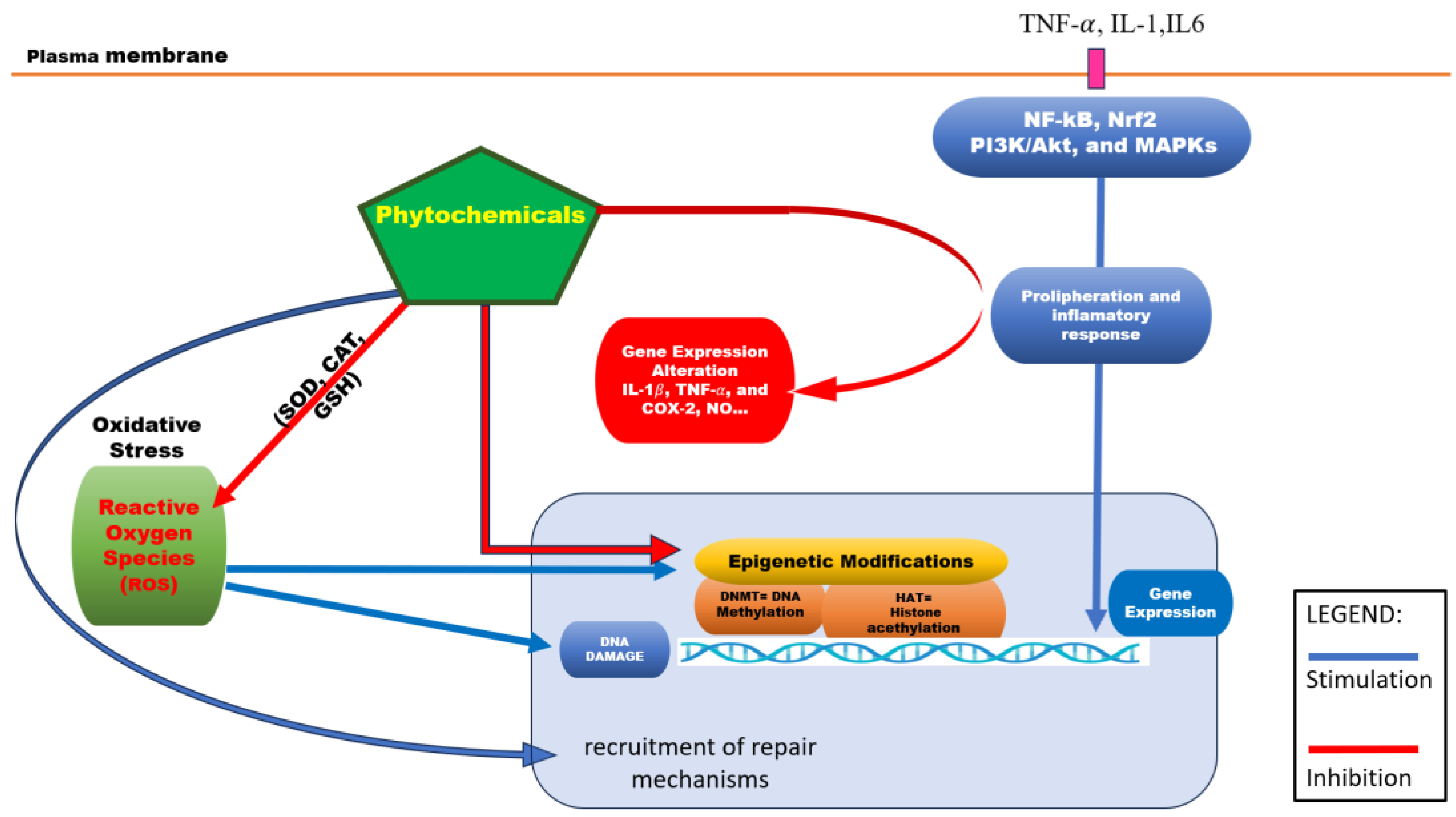 Preprints 179107 g001