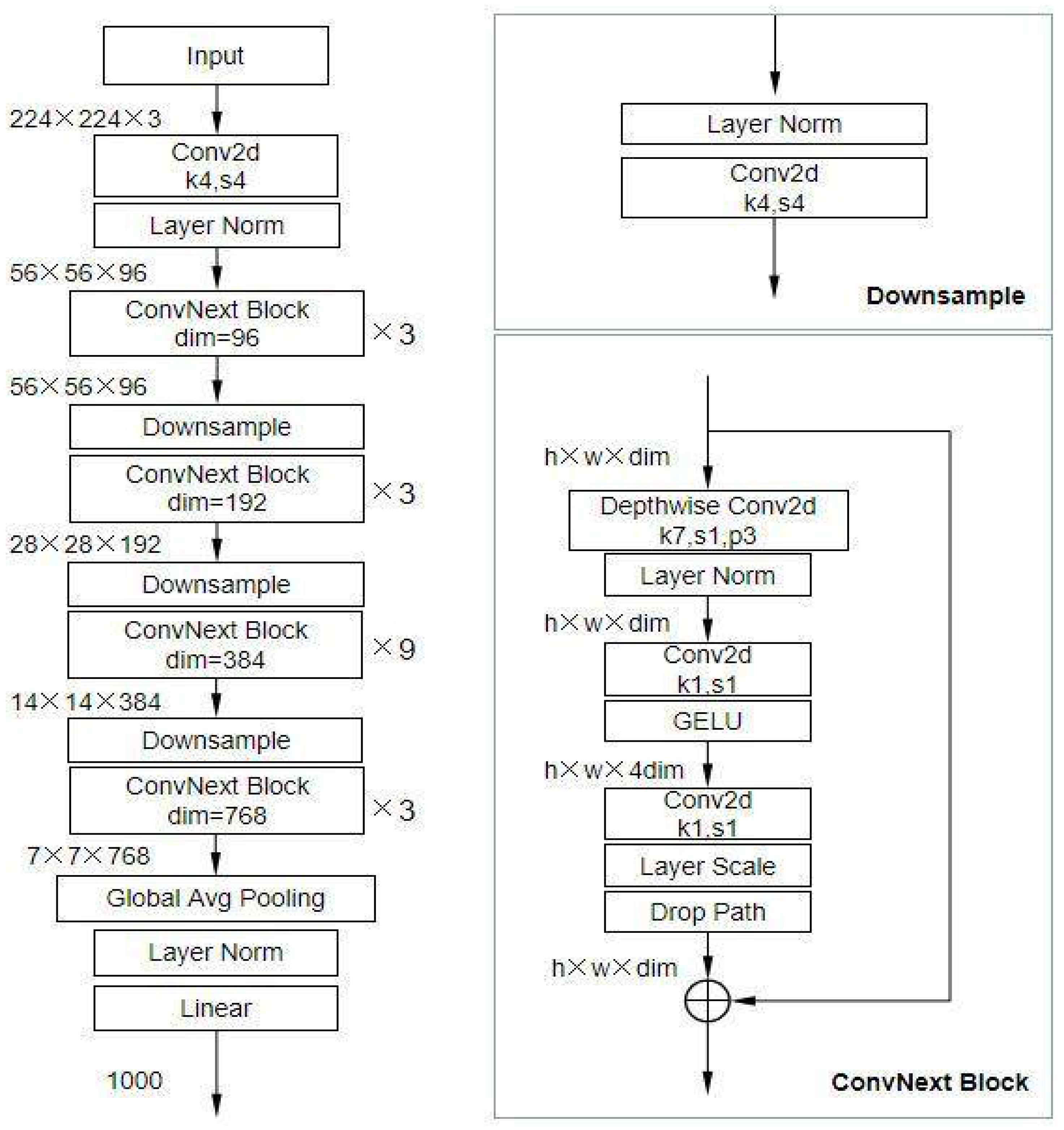 Preprints 148204 g002