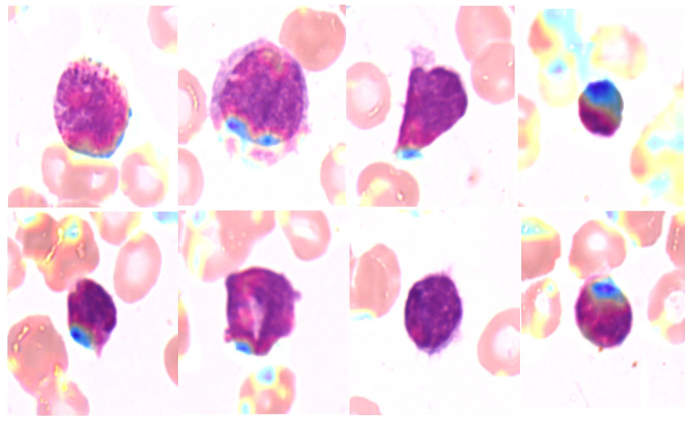 Preprints 148204 g006