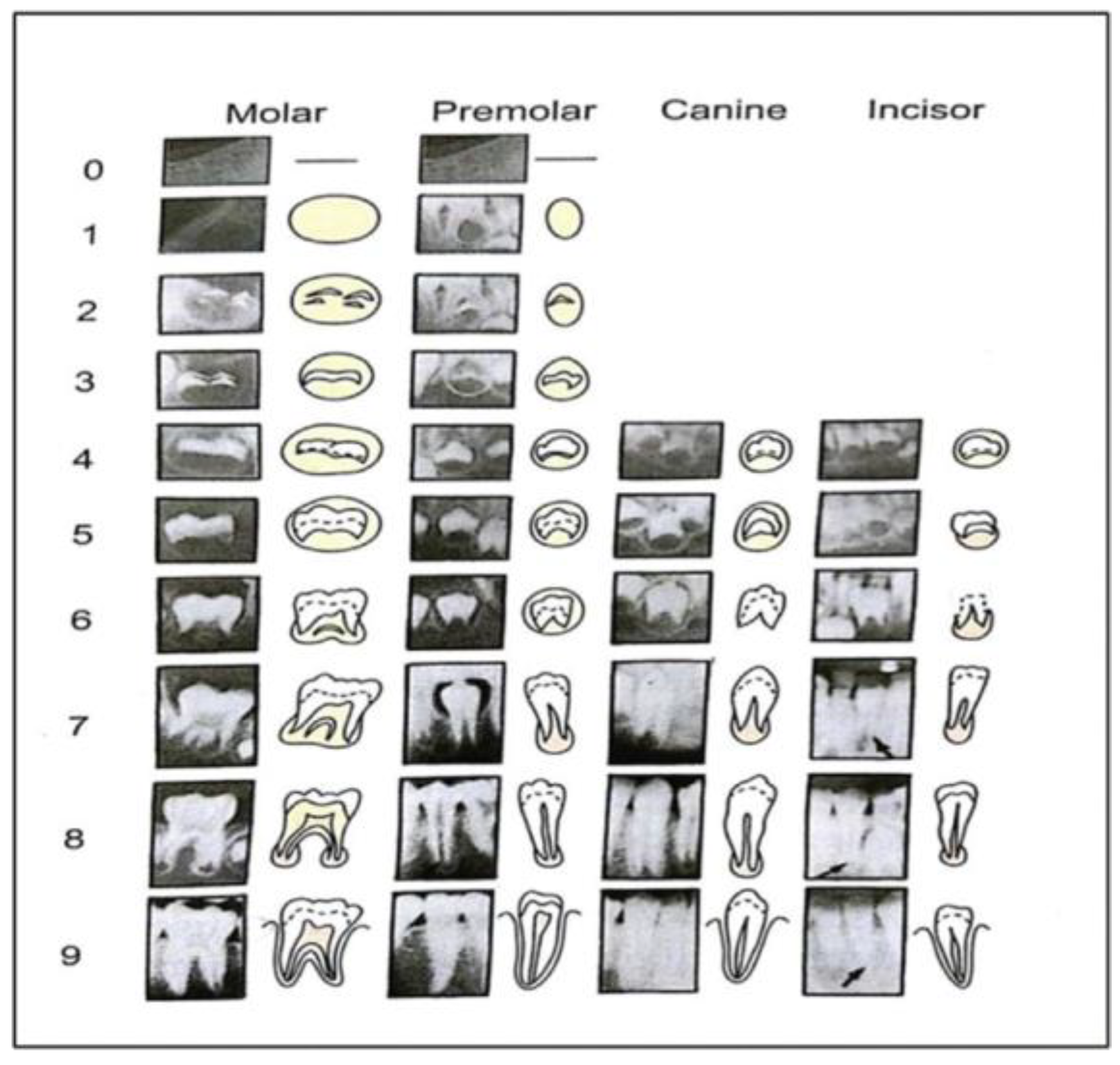 Preprints 193022 g002