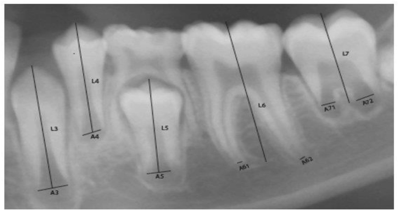 Preprints 193022 g004