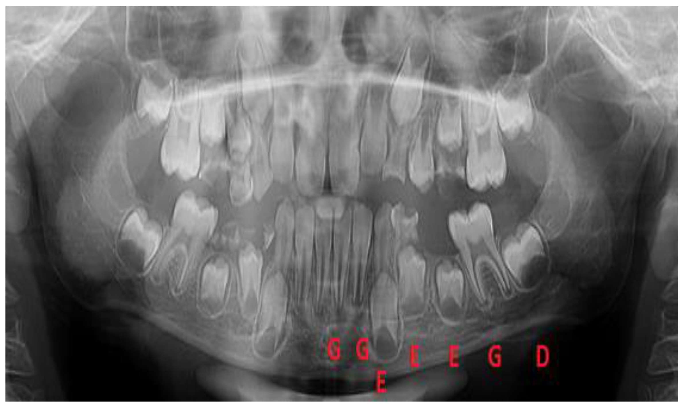 Preprints 193022 g005