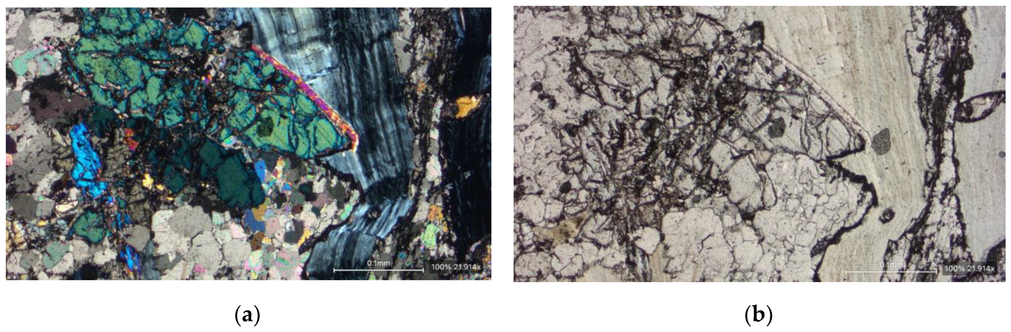 Preprints 114505 g001