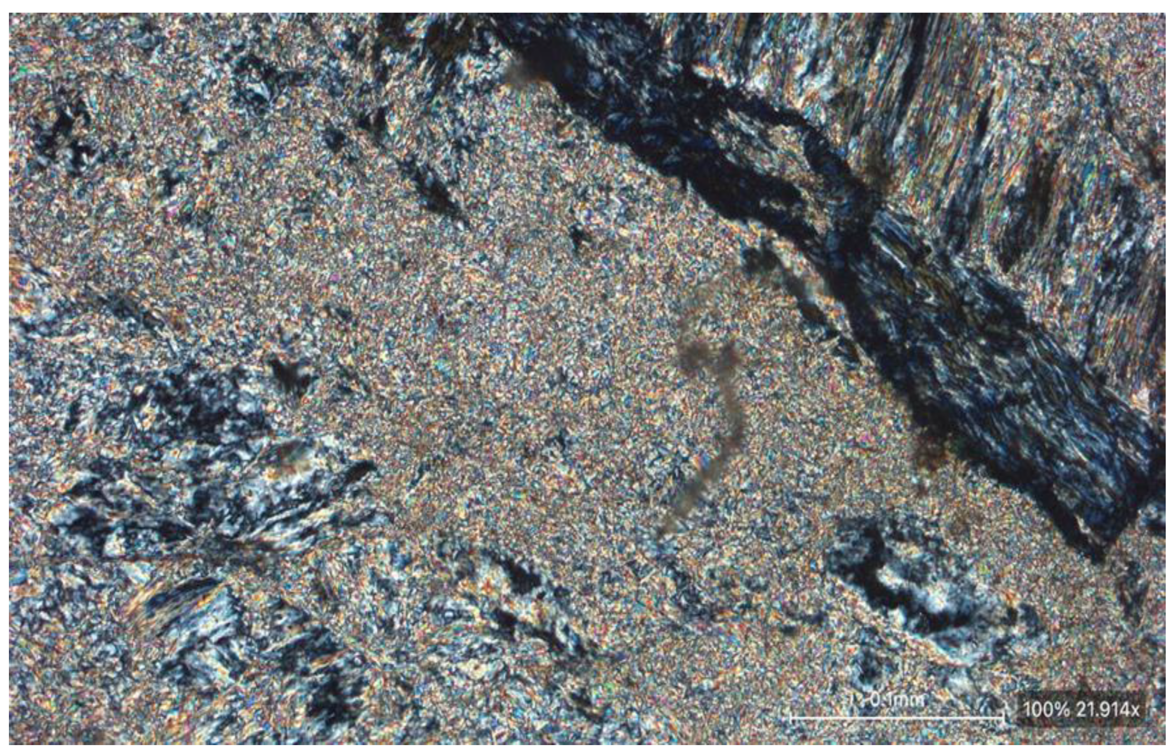 Preprints 114505 g006