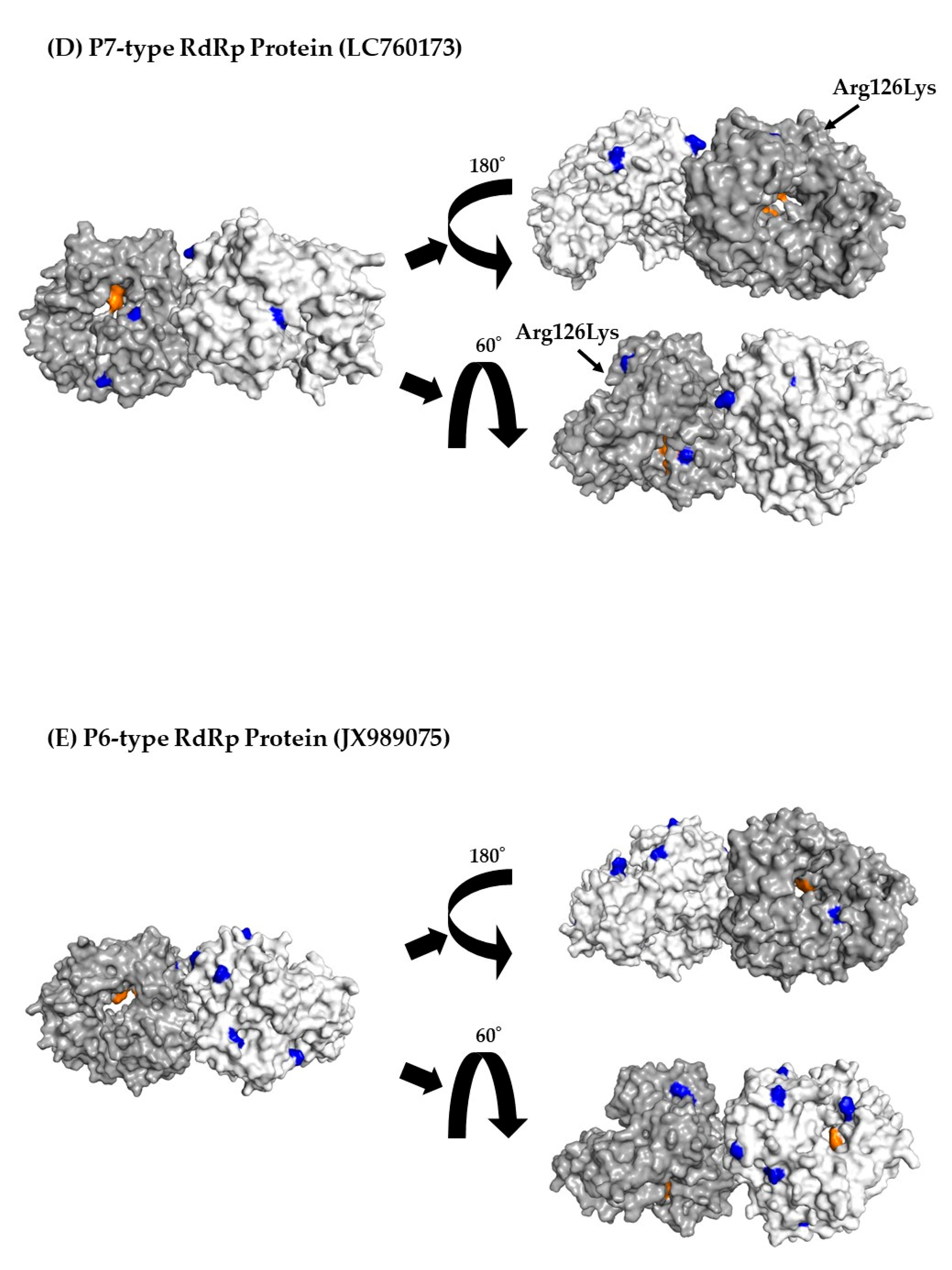 Preprints 72438 g004c