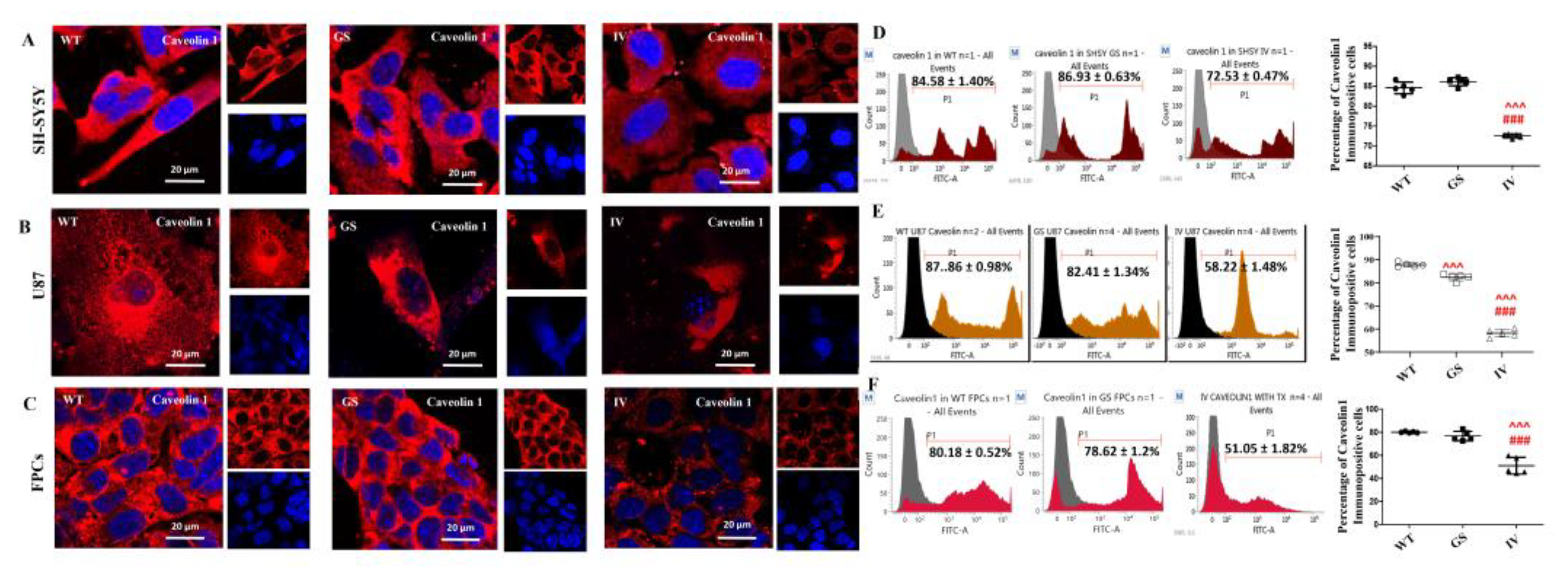 Preprints 193204 g002