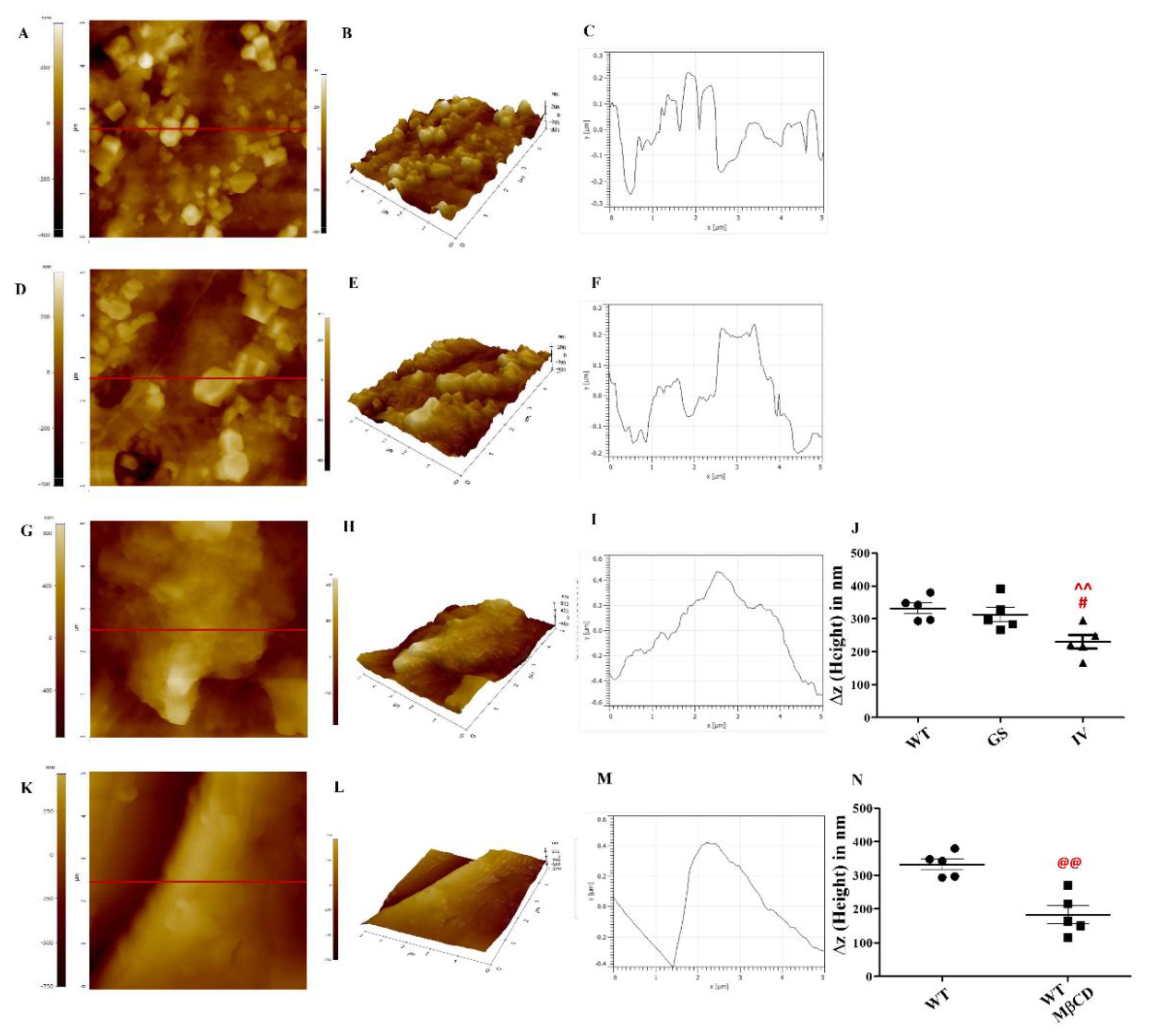 Preprints 193204 g003