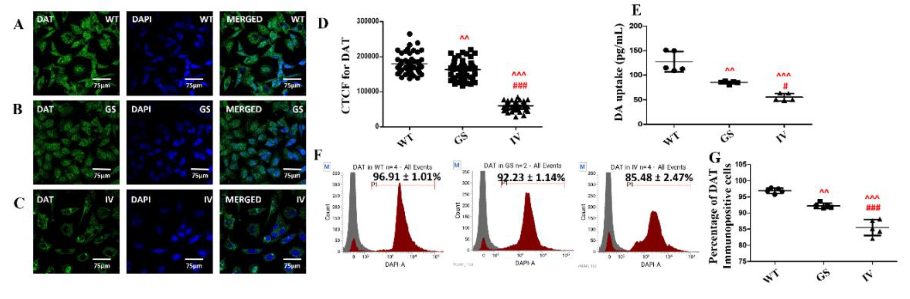 Preprints 193204 g005