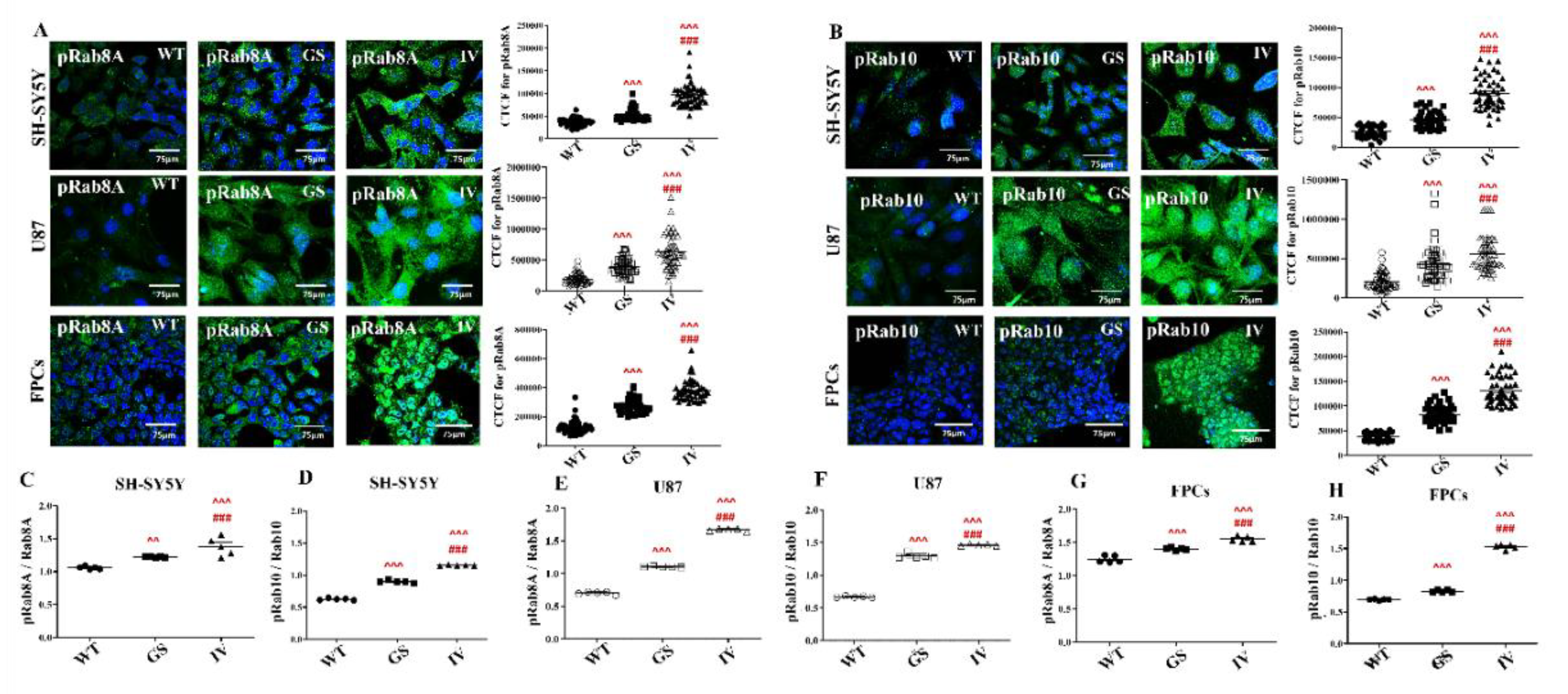 Preprints 193204 g006