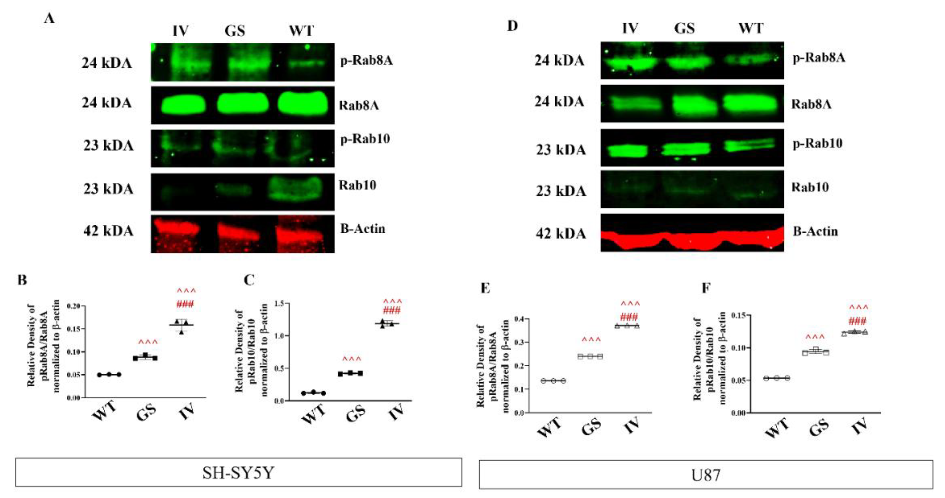 Preprints 193204 g007