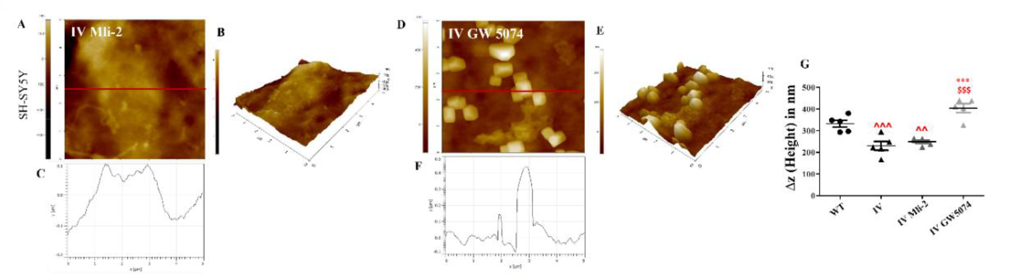 Preprints 193204 g010