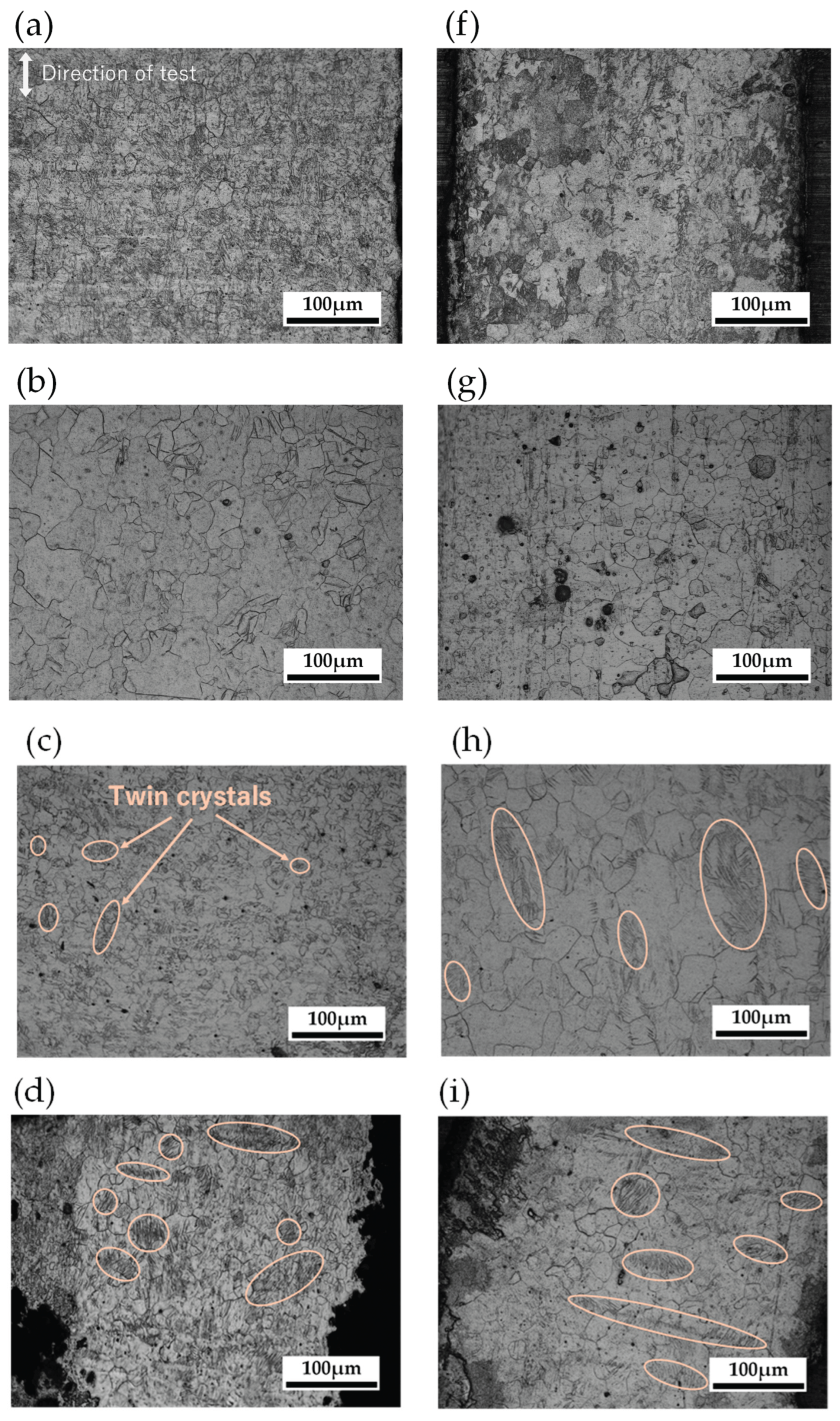 Preprints 169071 g009a