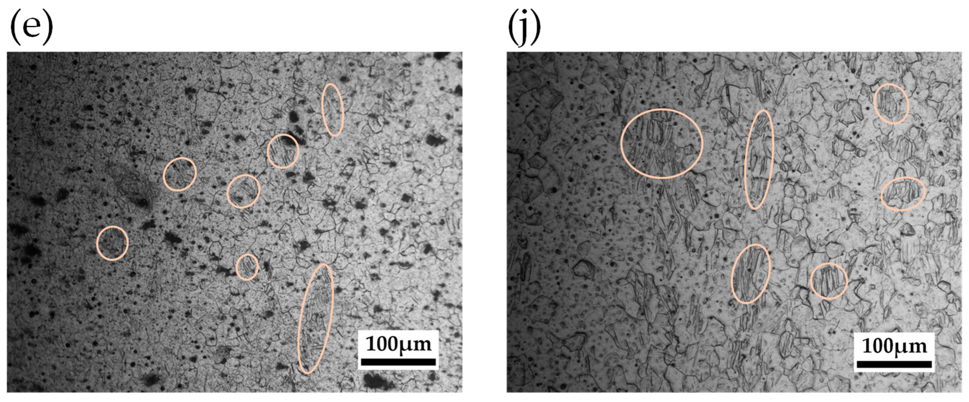 Preprints 169071 g009b