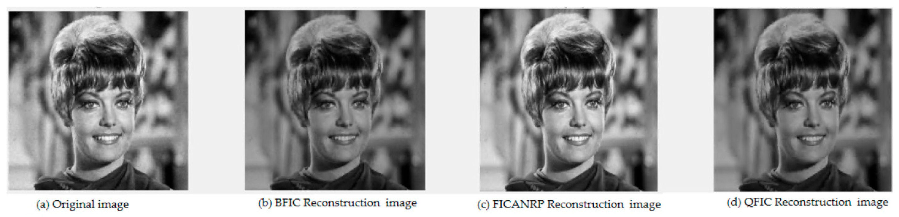 Preprints 158225 g010