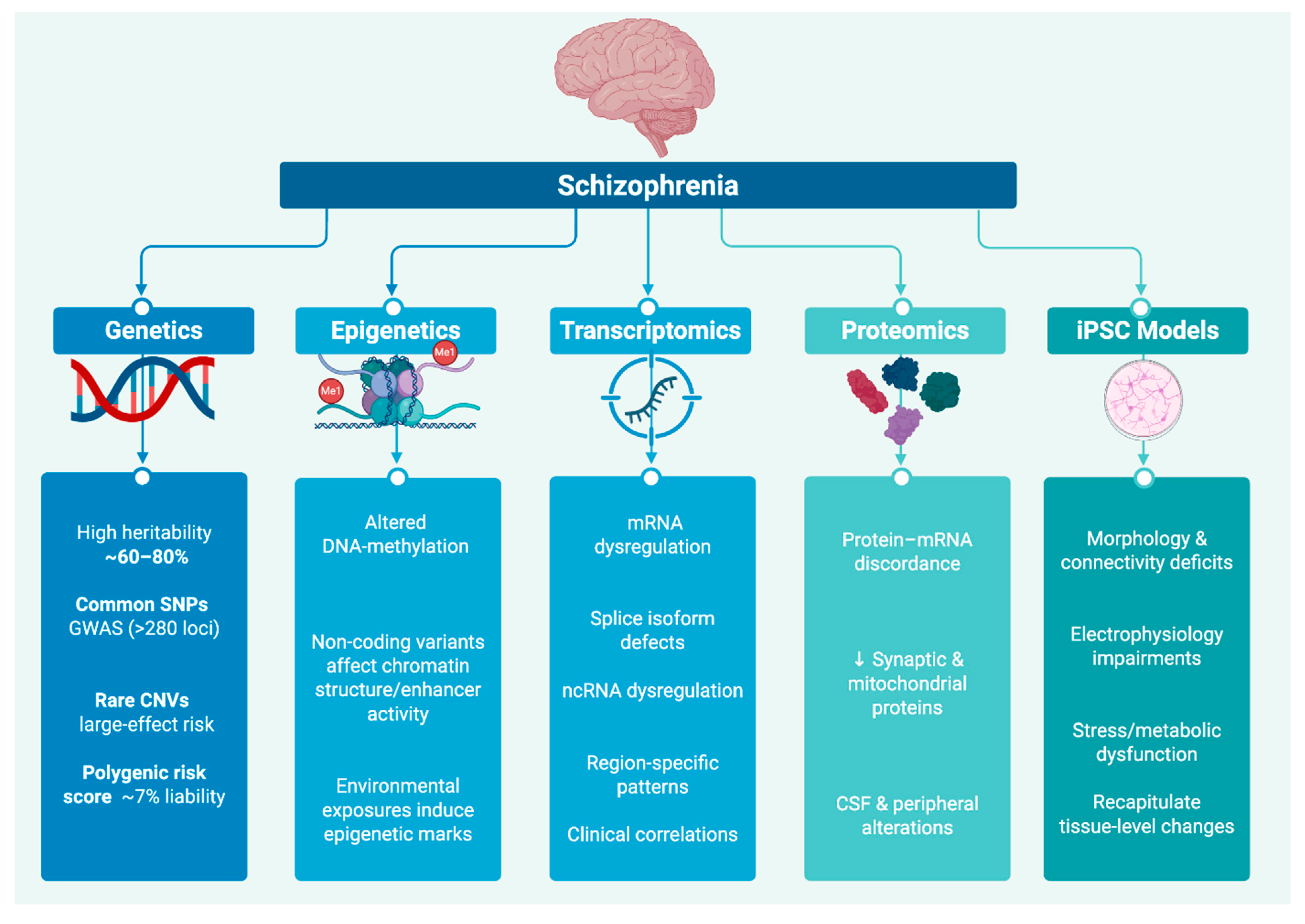 Preprints 172689 g001