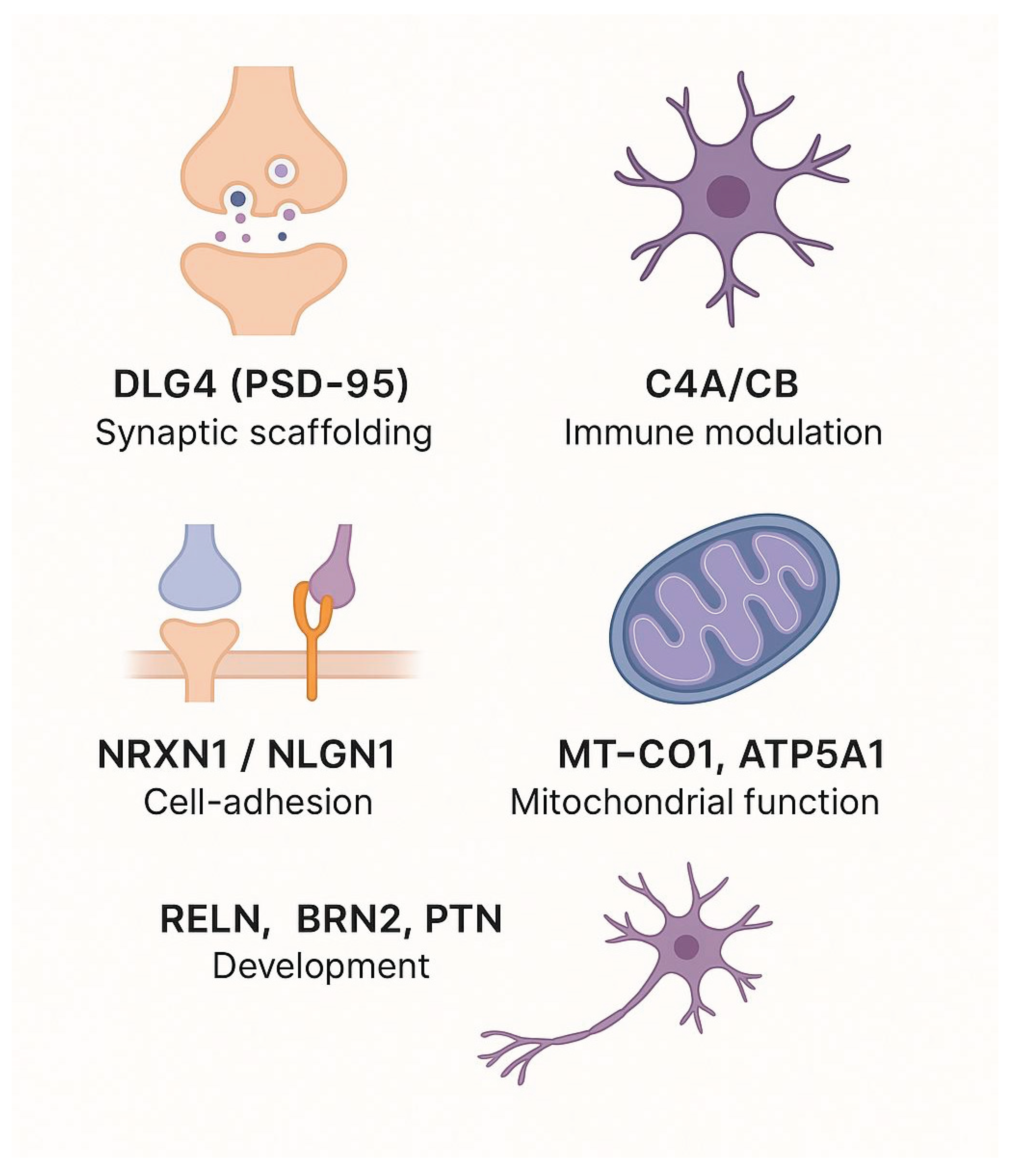 Preprints 172689 g002