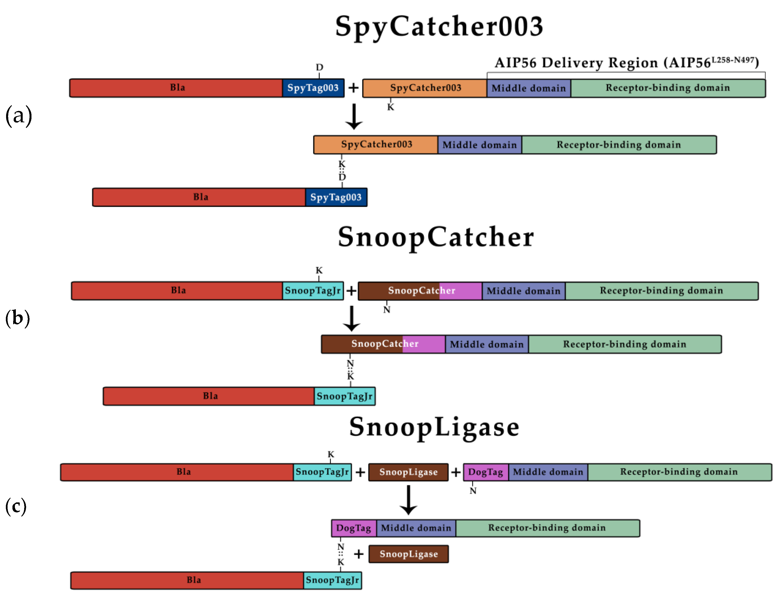 Preprints 148275 g001