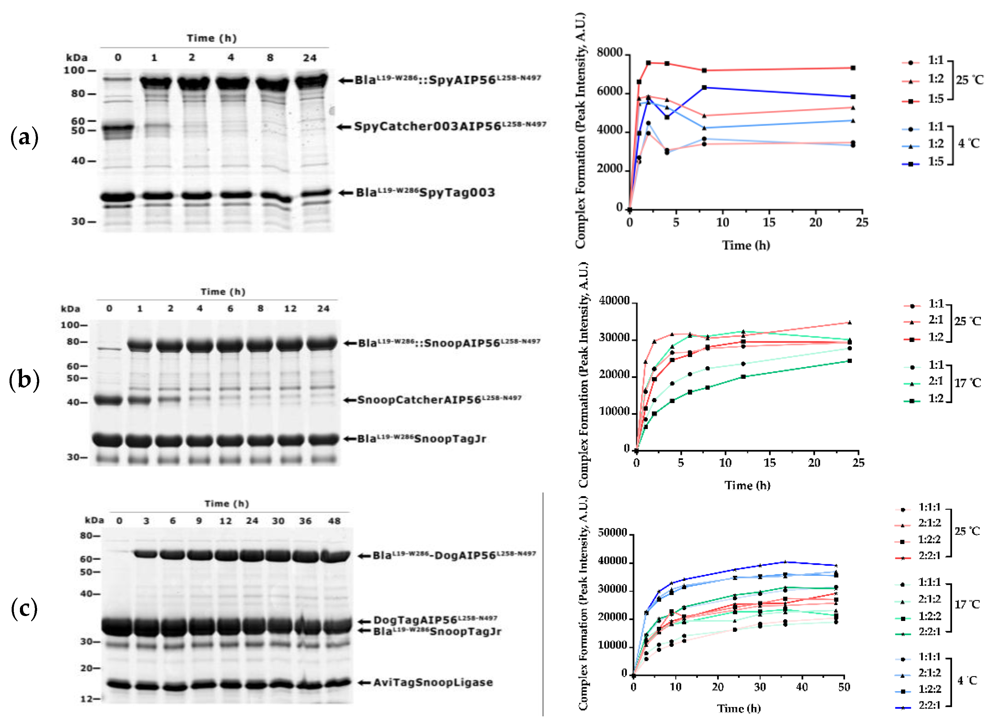 Preprints 148275 g002