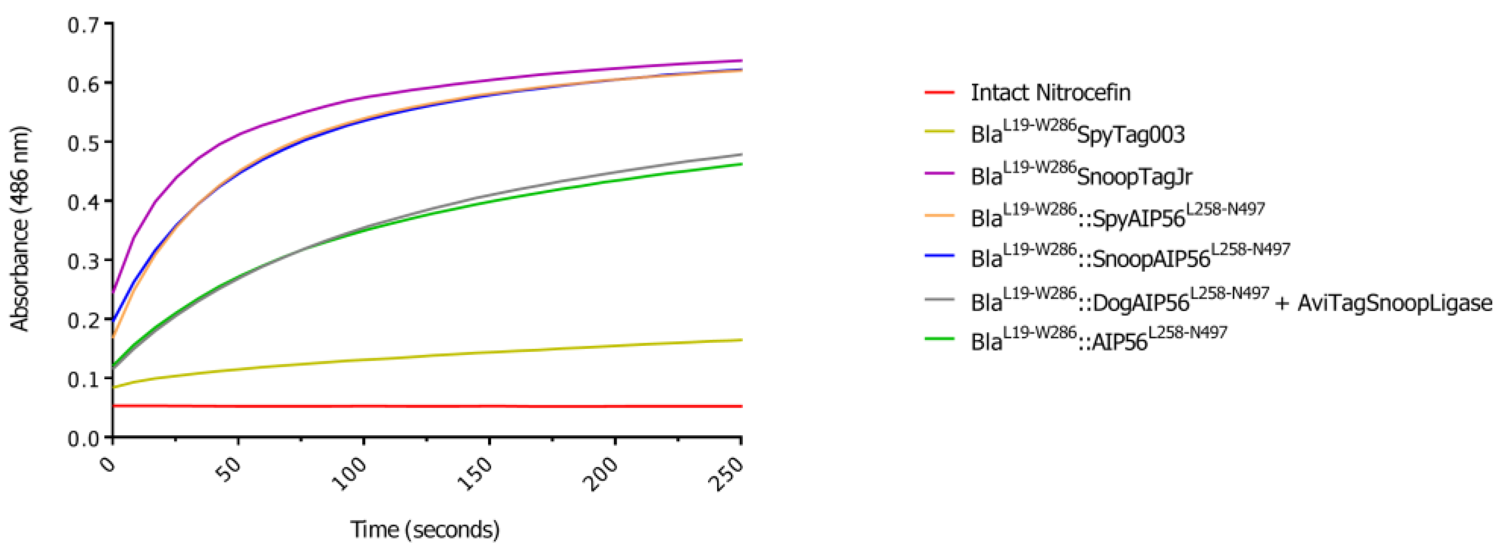 Preprints 148275 g003