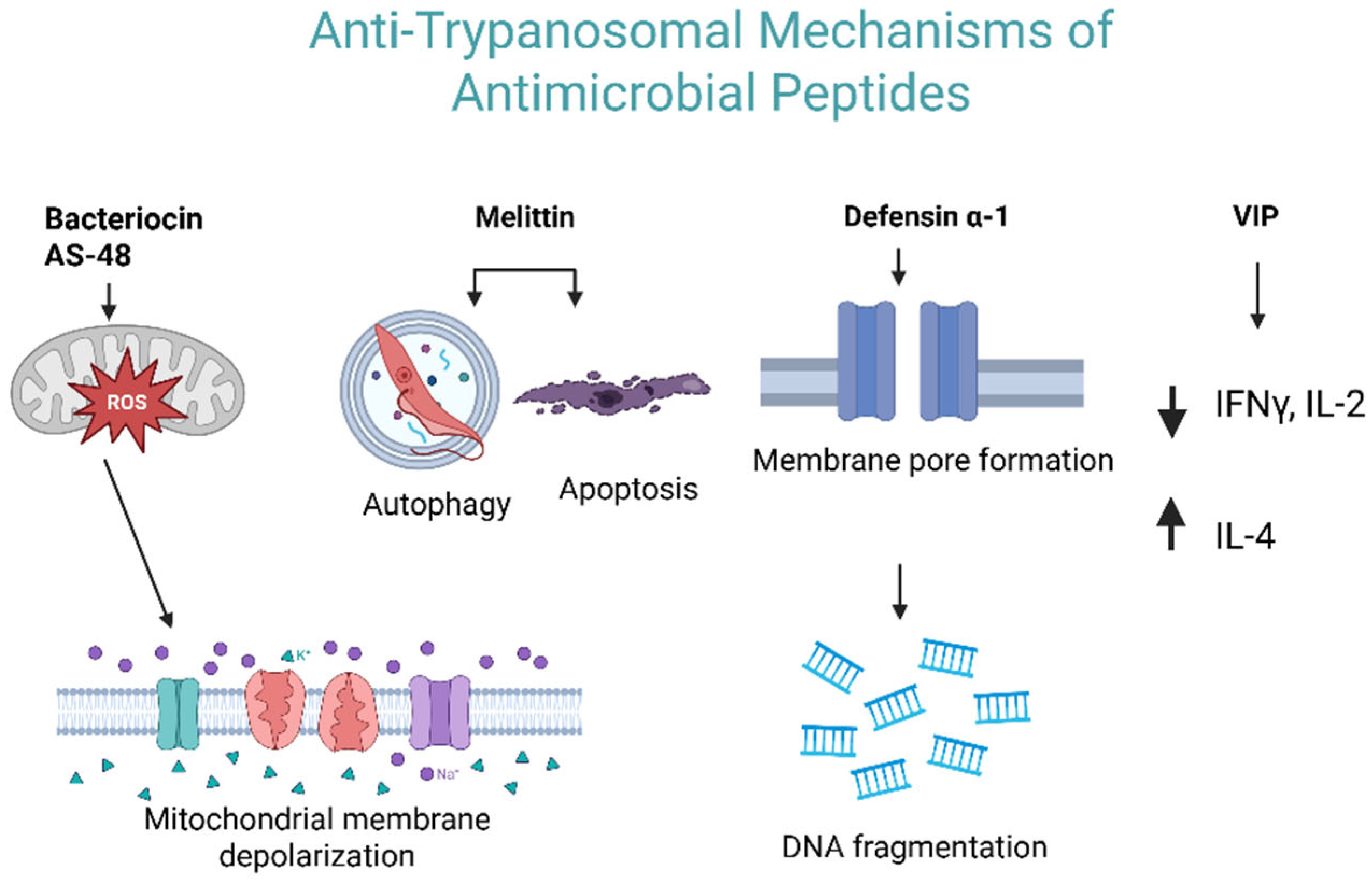 Preprints 213334 g003
