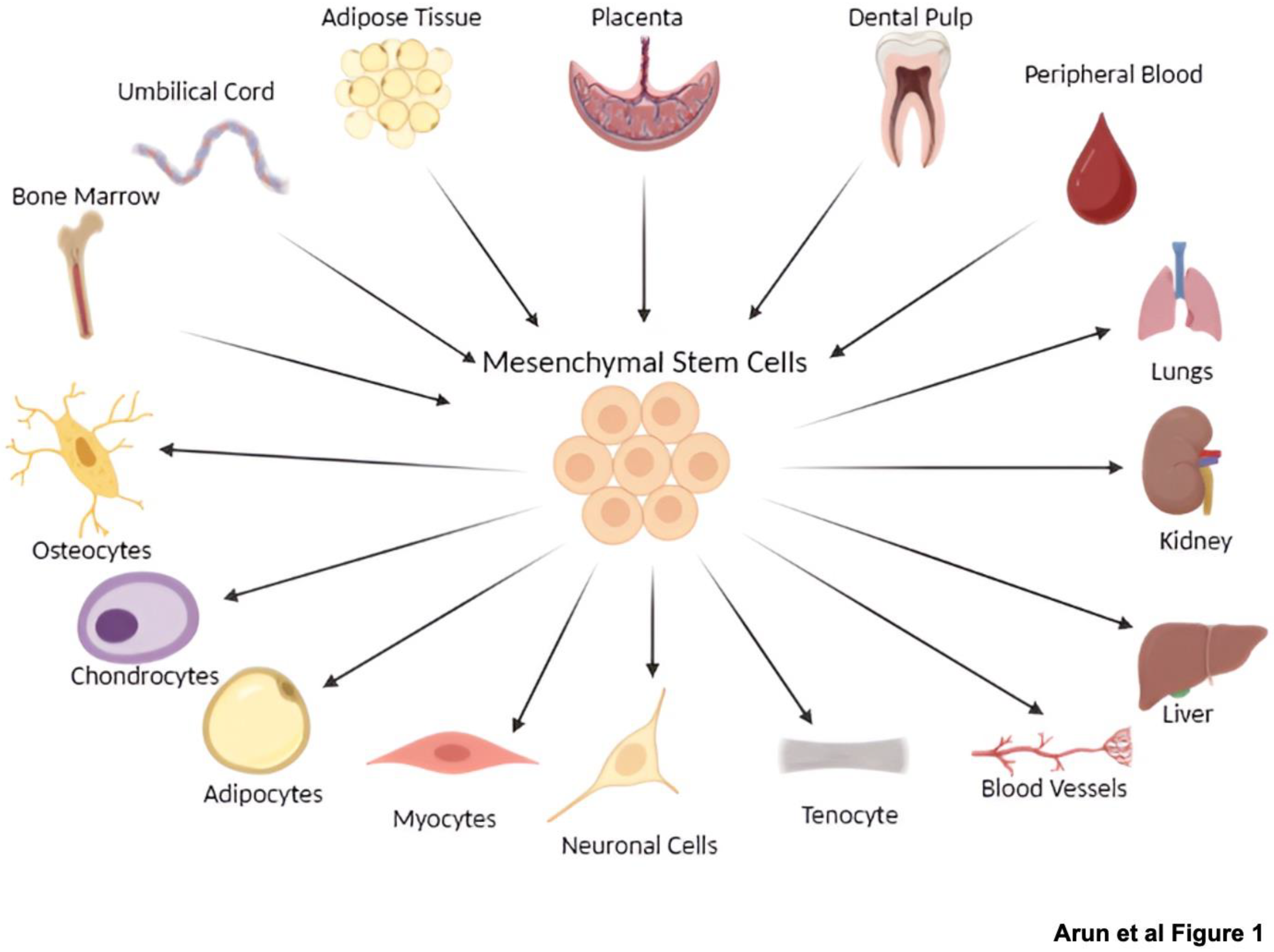 Preprints 169978 g001