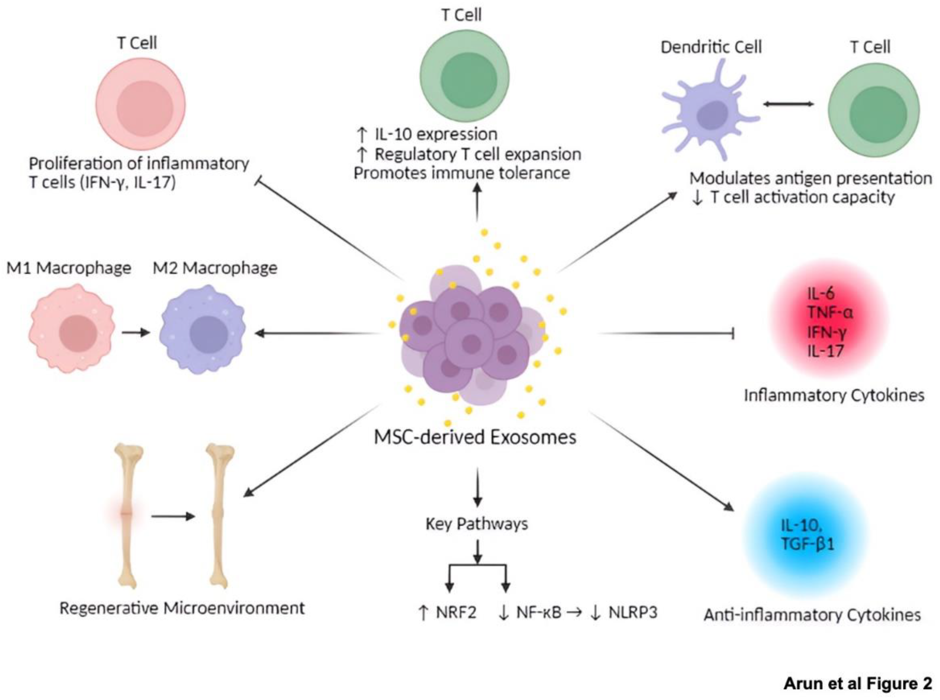 Preprints 169978 g002