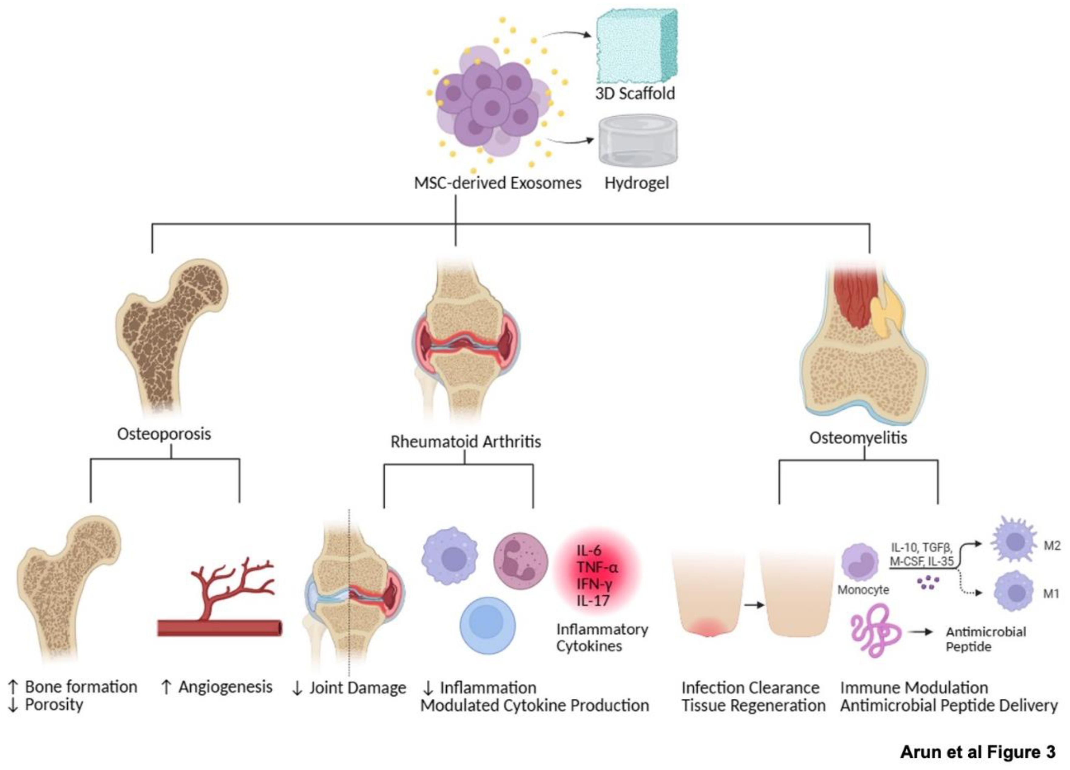 Preprints 169978 g003