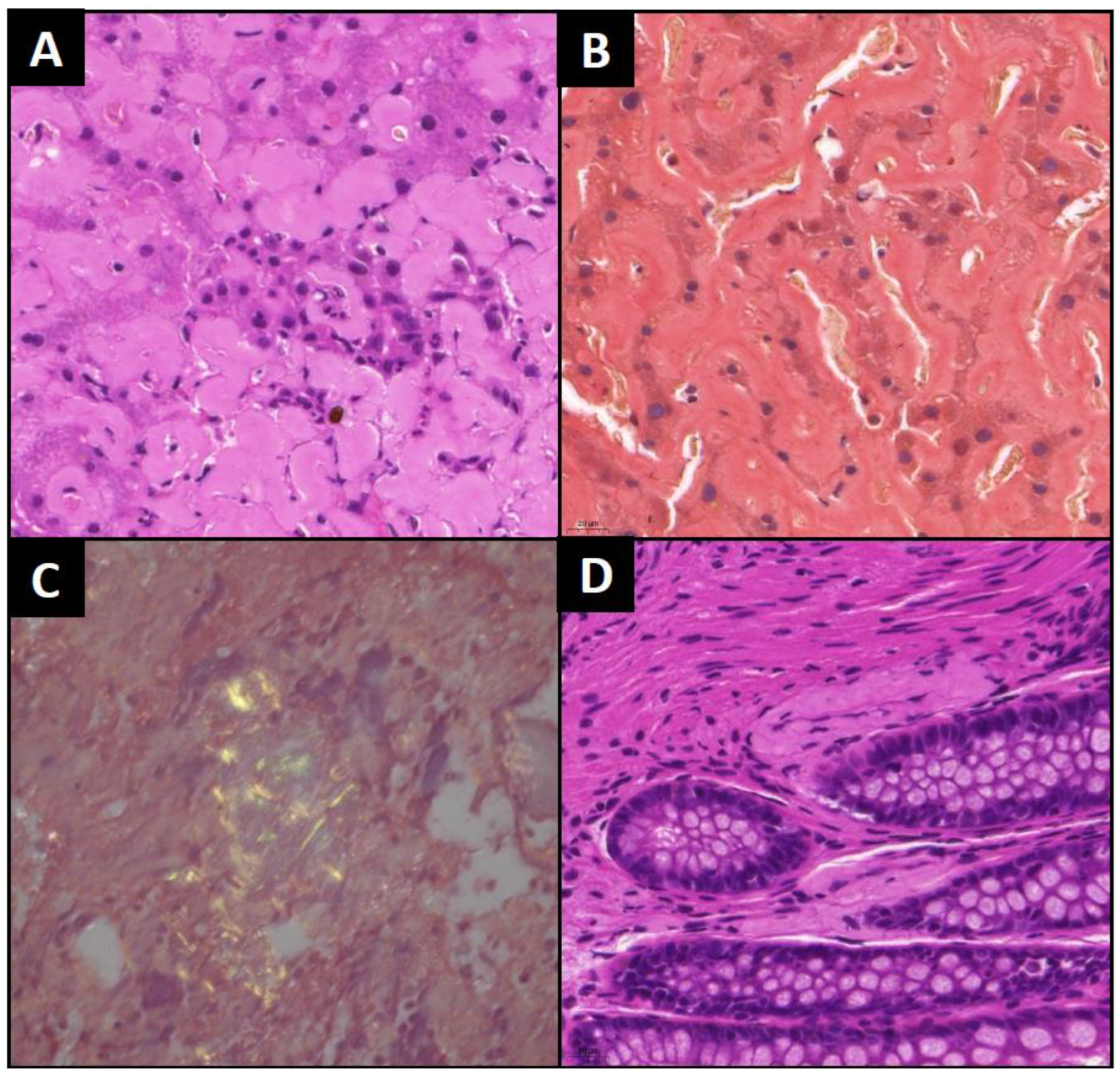 Preprints 143404 g001