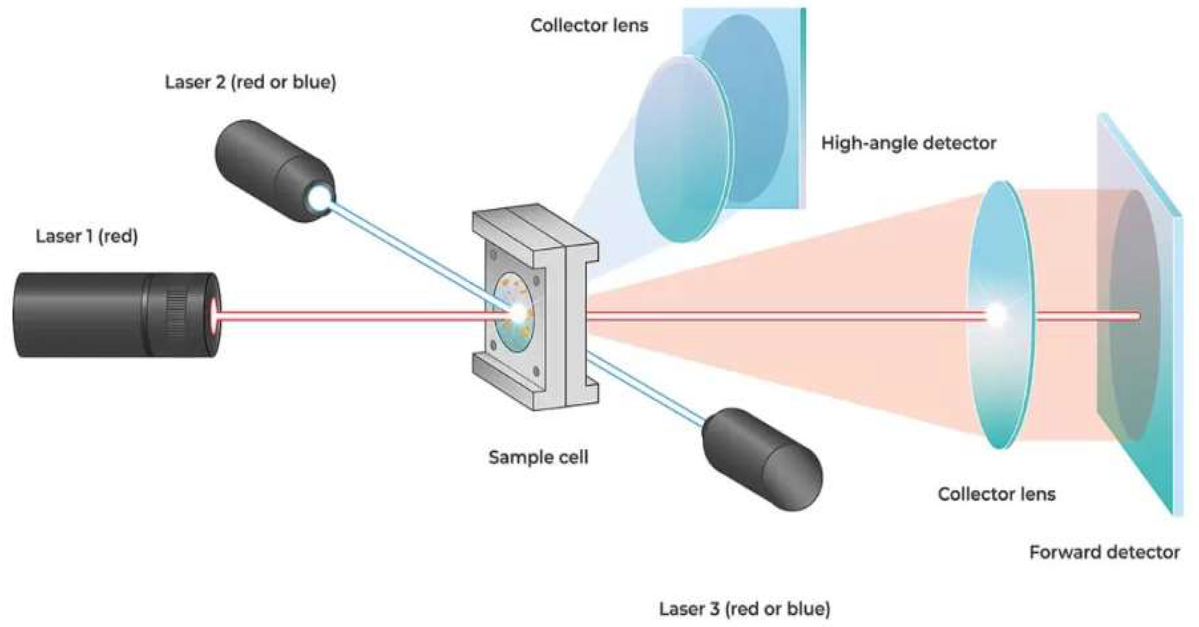 Preprints 137962 g005