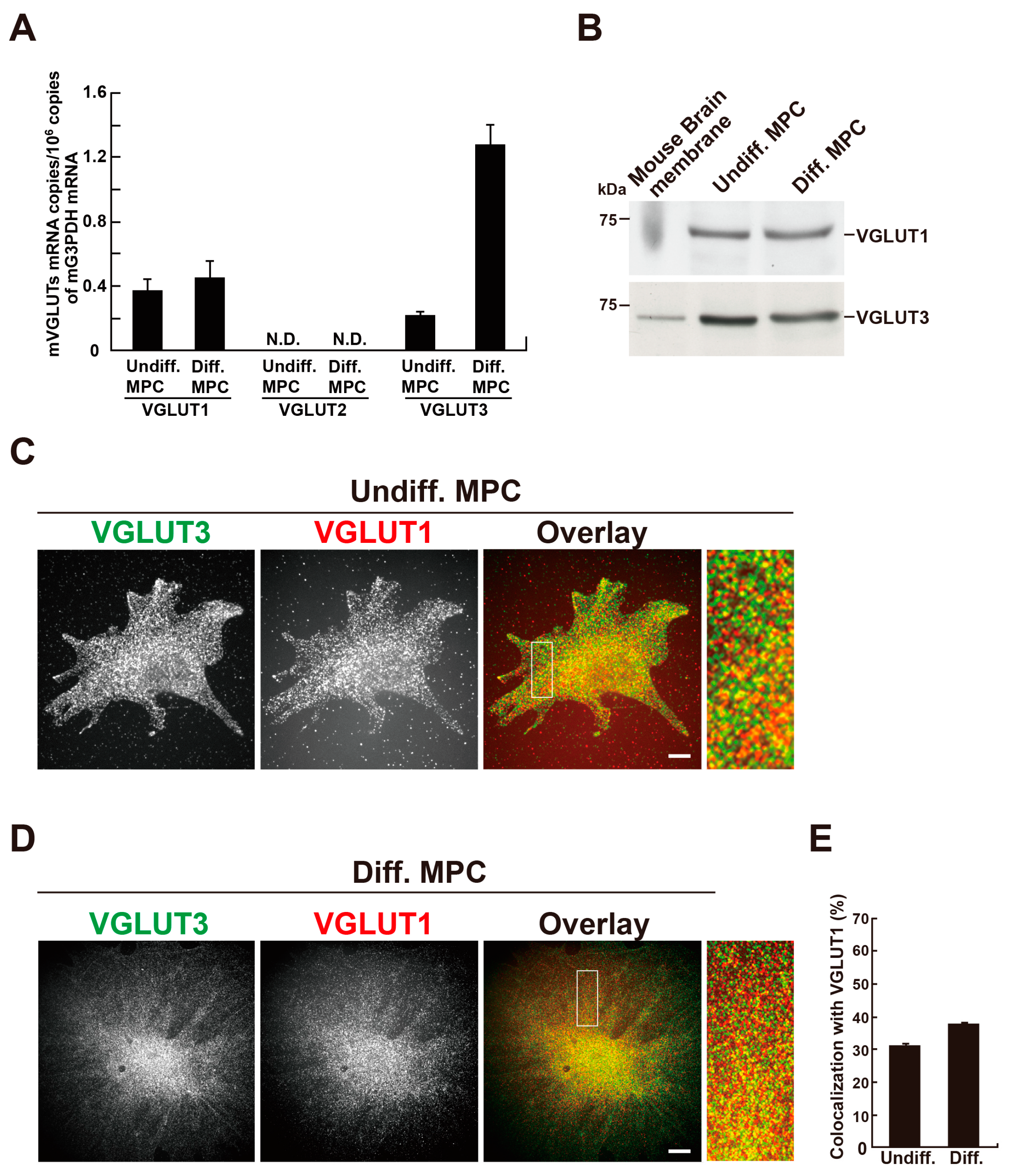 Preprints 149394 g002