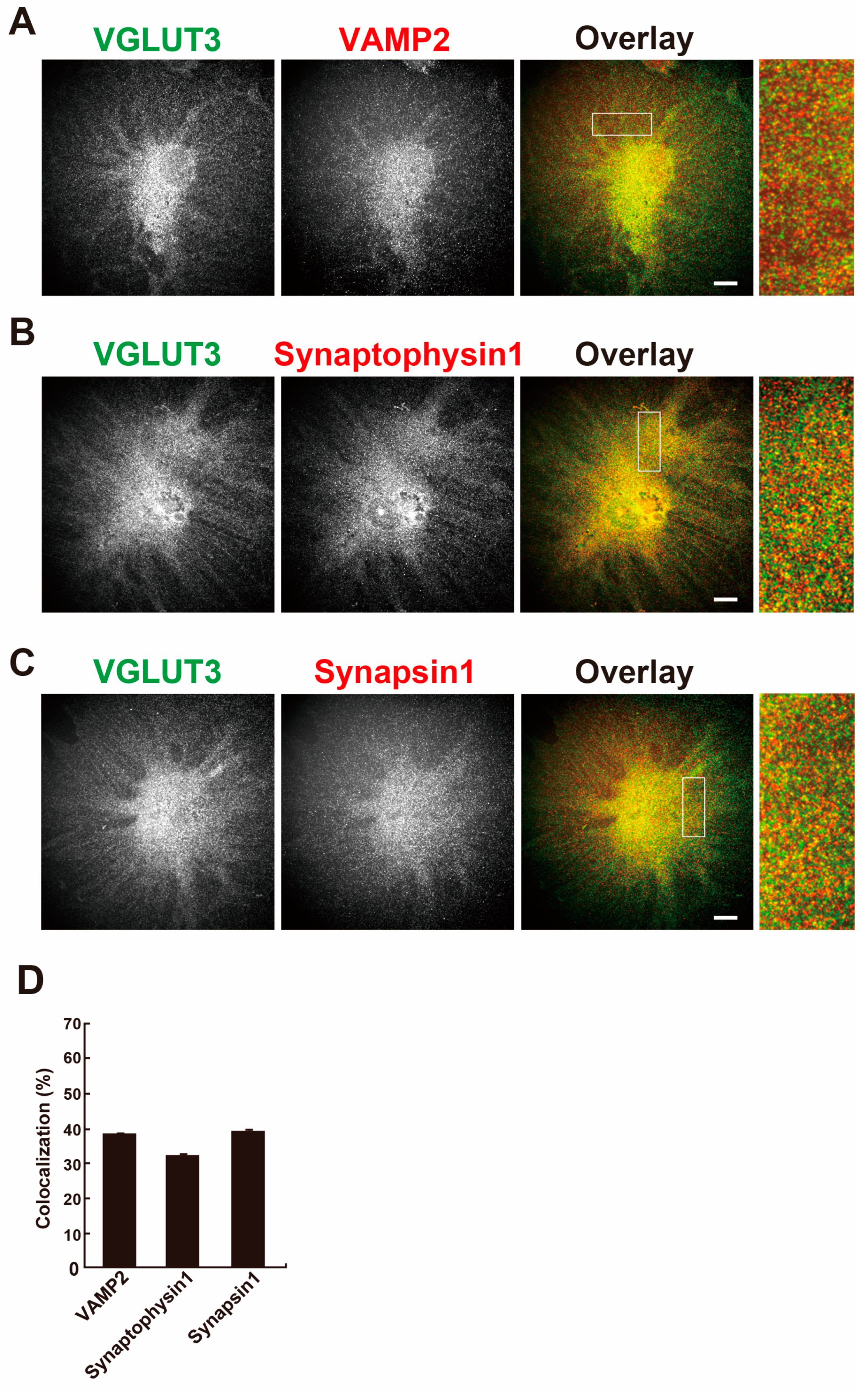 Preprints 149394 g003