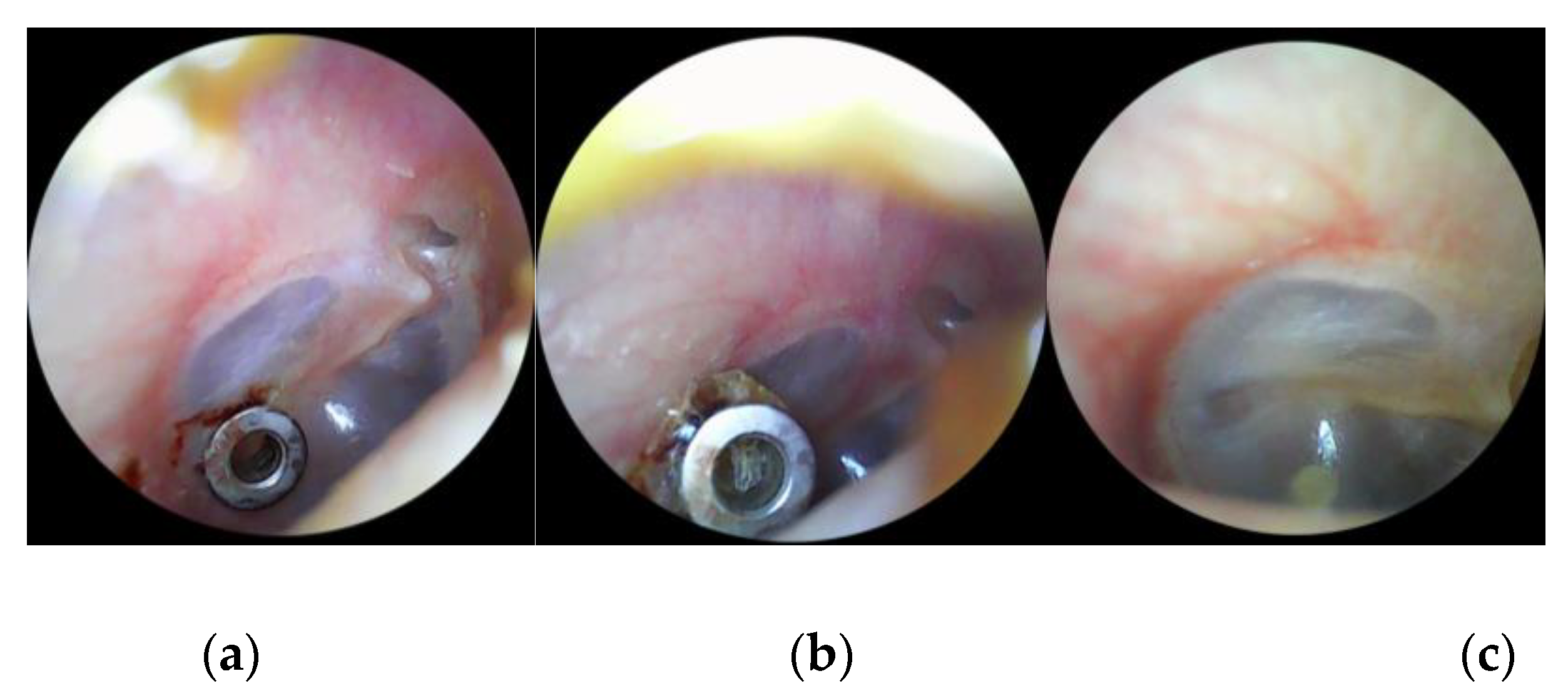 Preprints 188777 g005