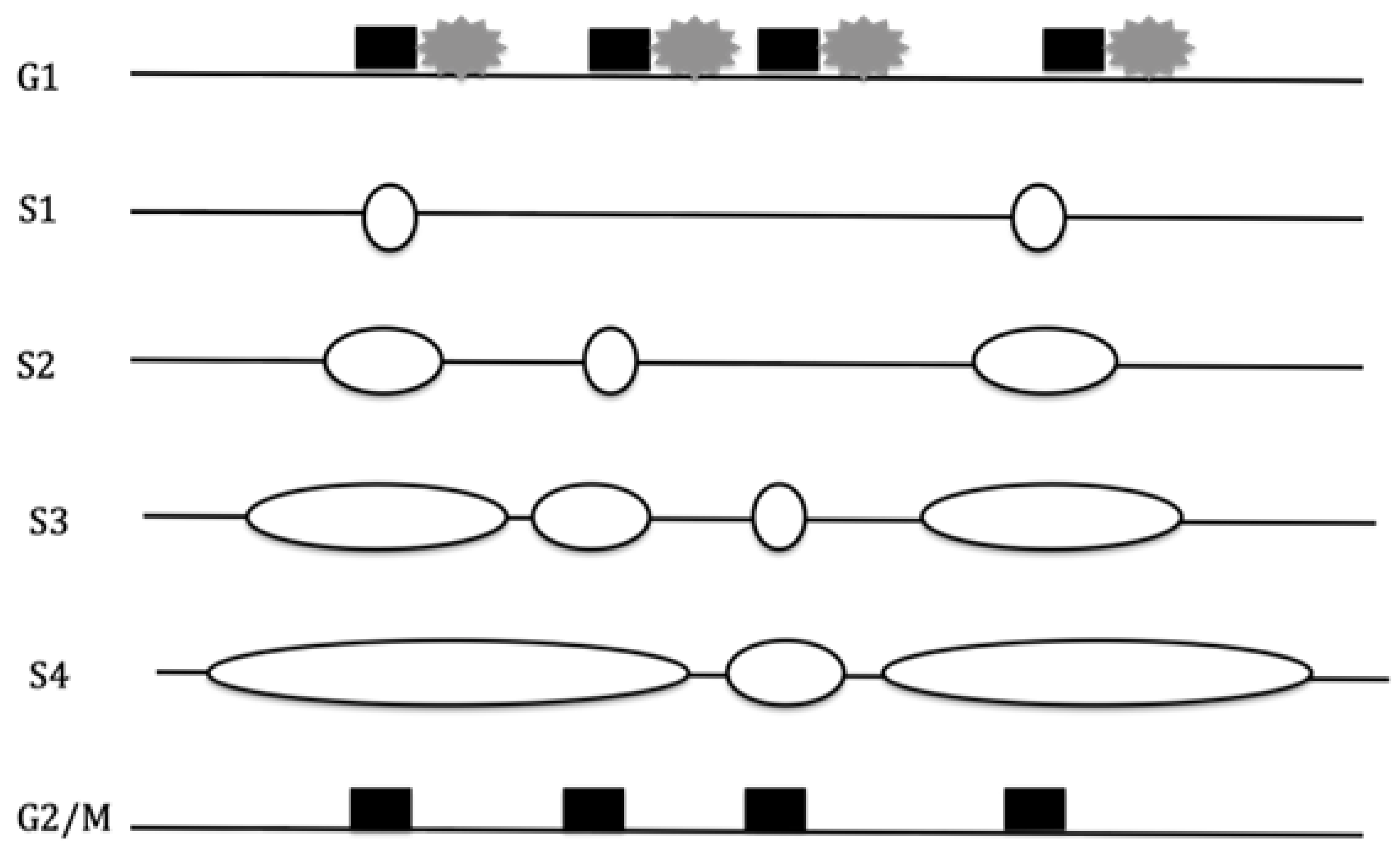 Preprints 171064 g003