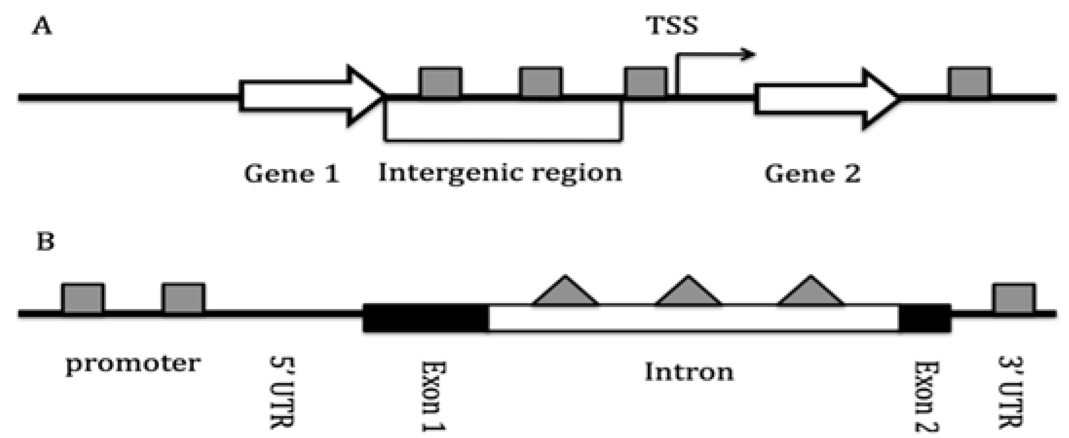 Preprints 171064 g004