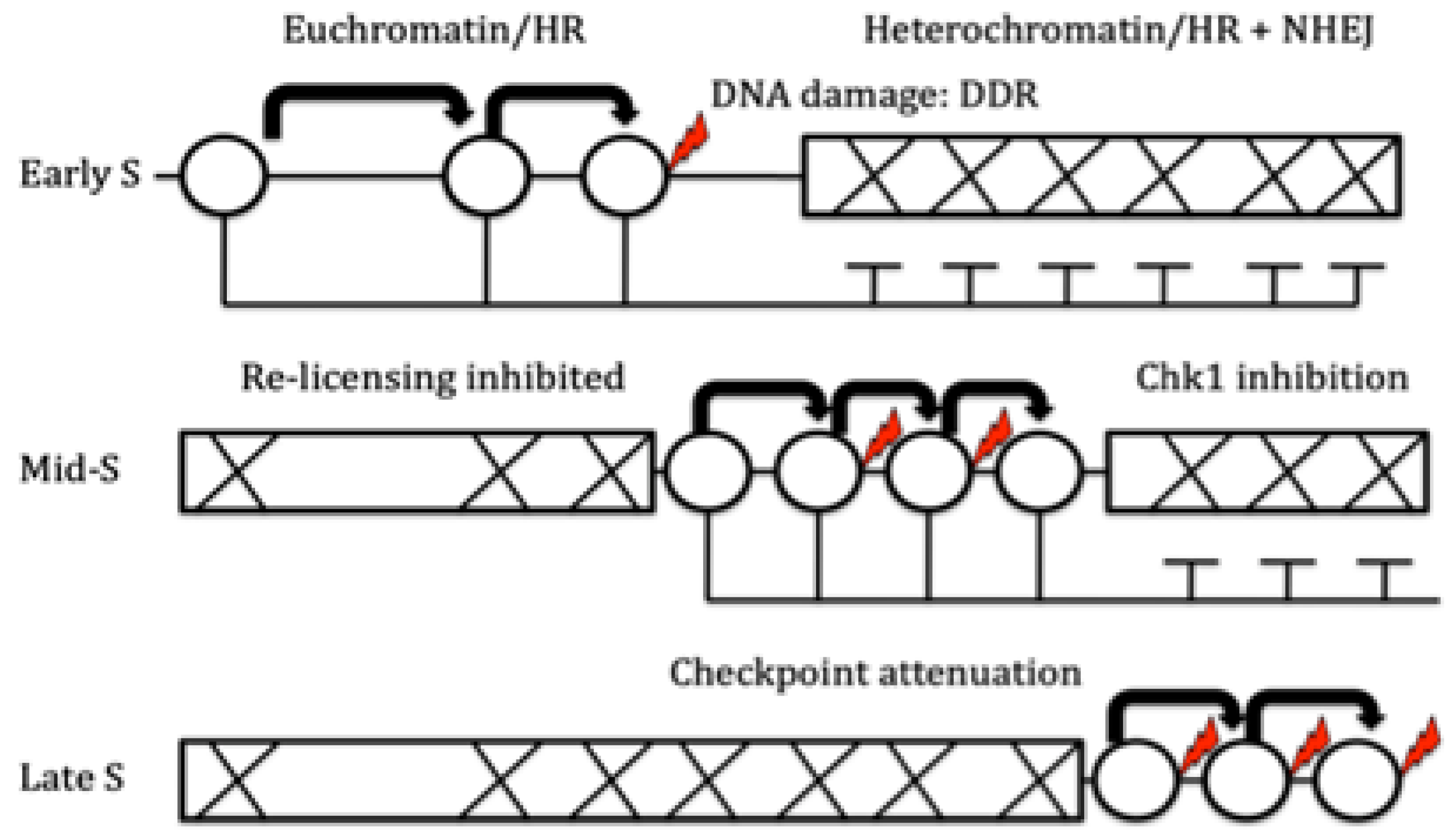Preprints 171064 g005