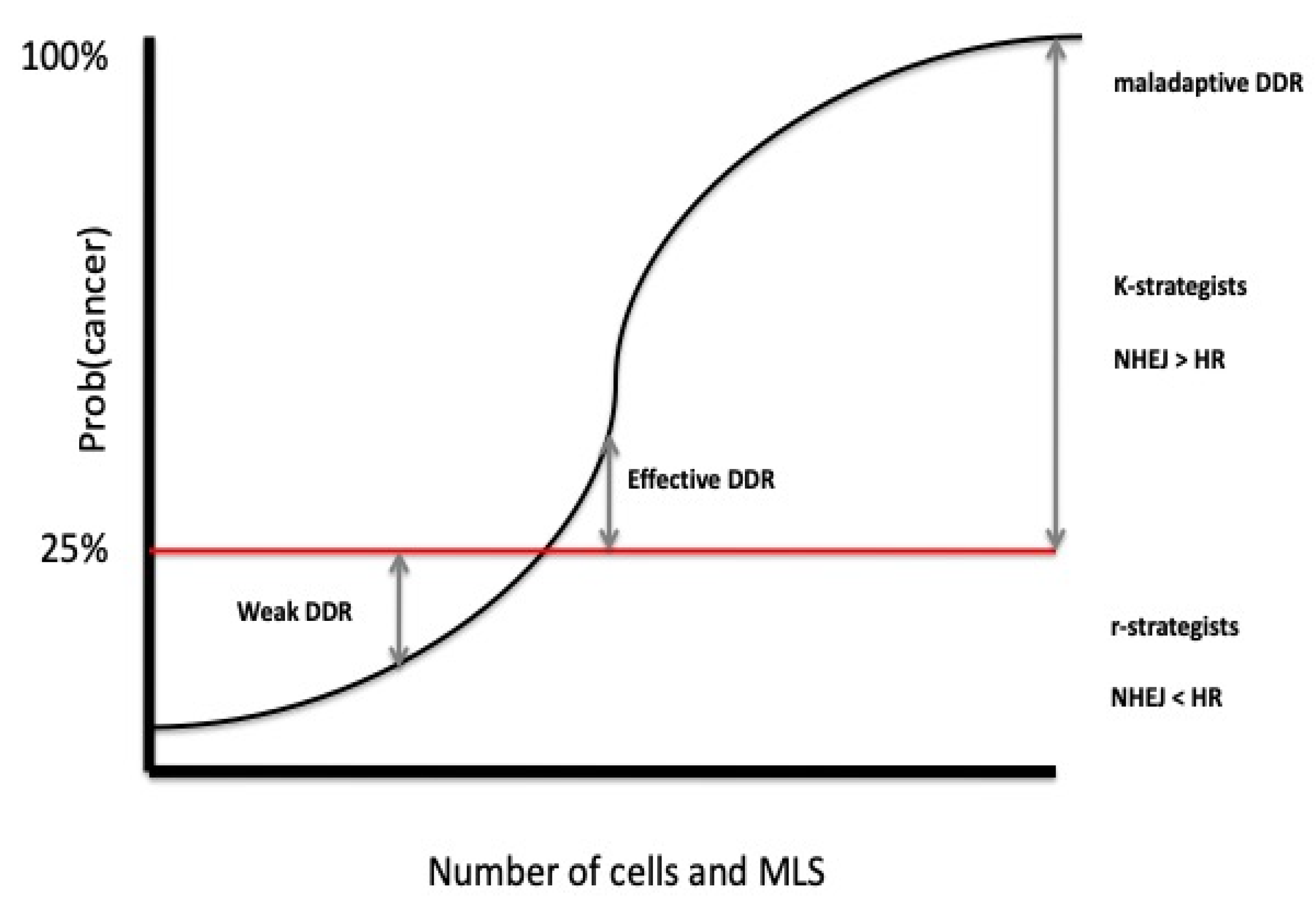Preprints 171064 g006