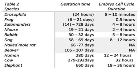Preprints 171064 i001