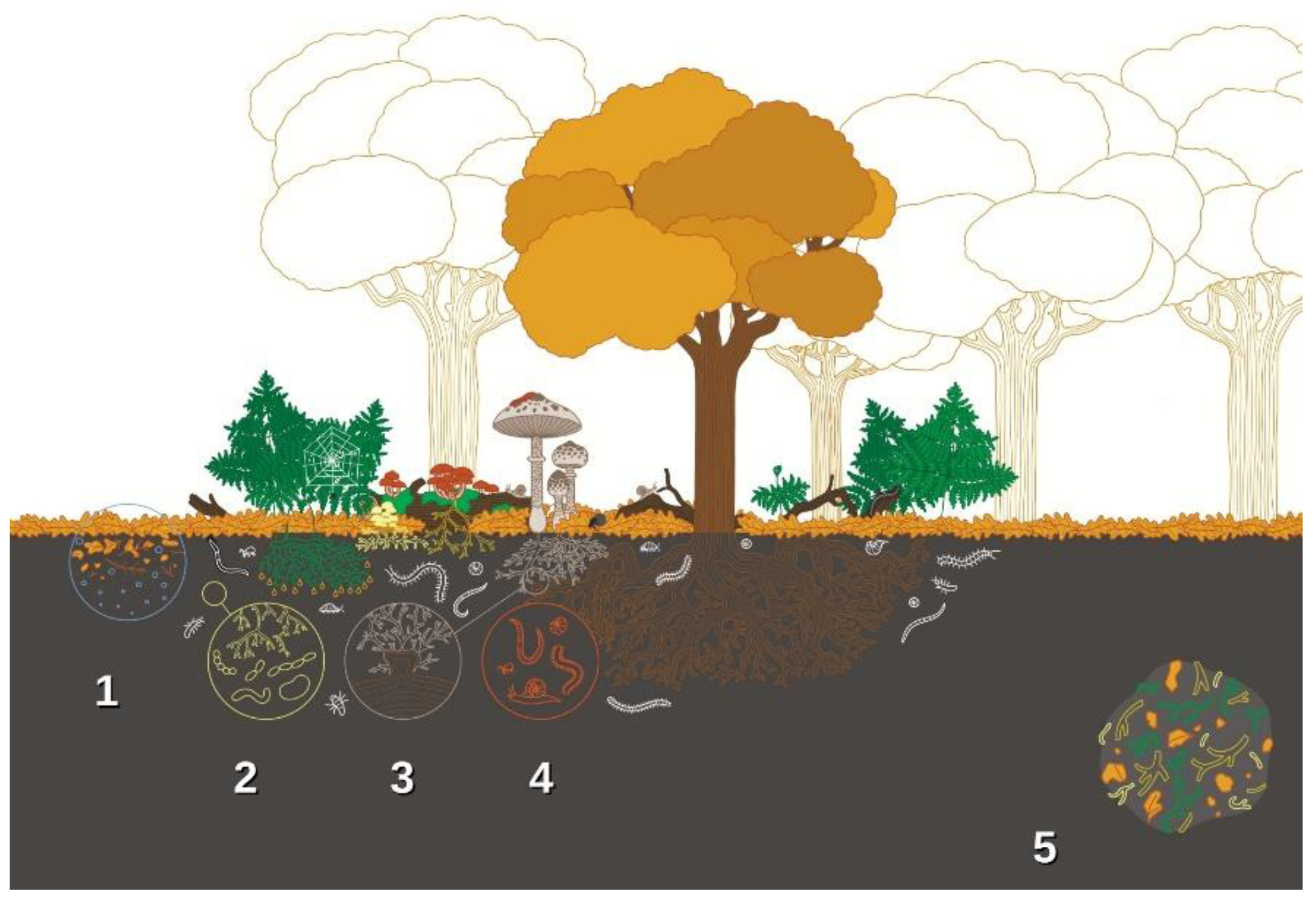 Preprints 193321 g004