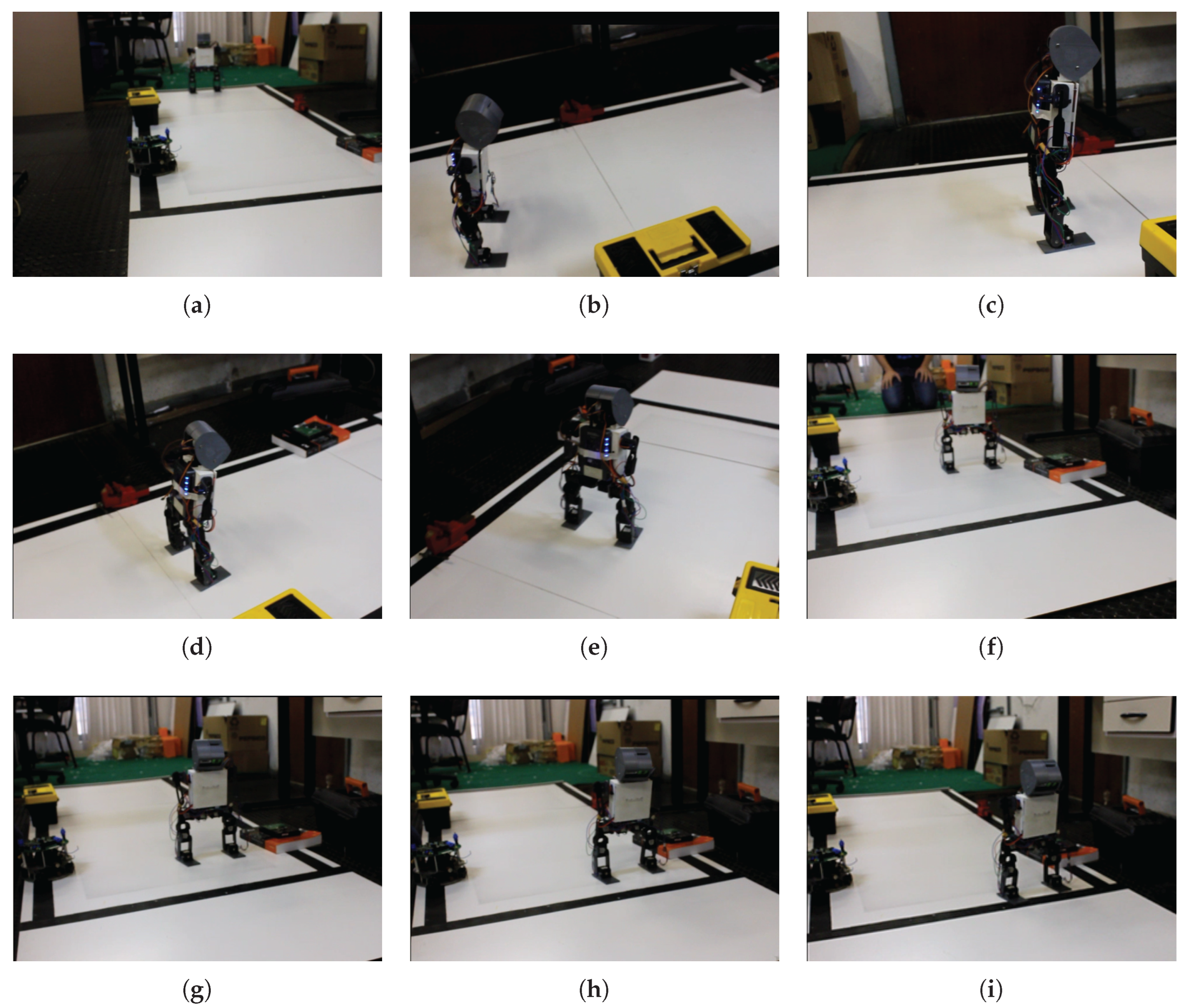 Preprints 171439 g011