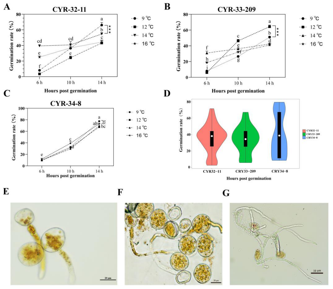 Preprints 222776 g001 Preprints 222776 g001