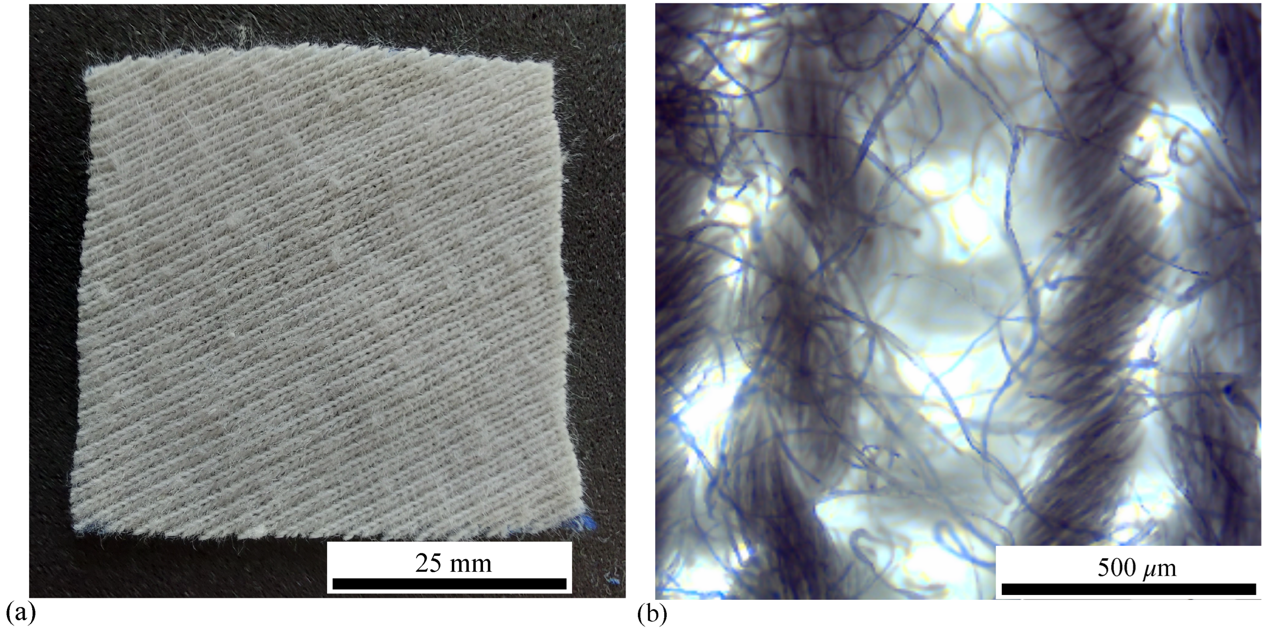 Preprints 152998 g001