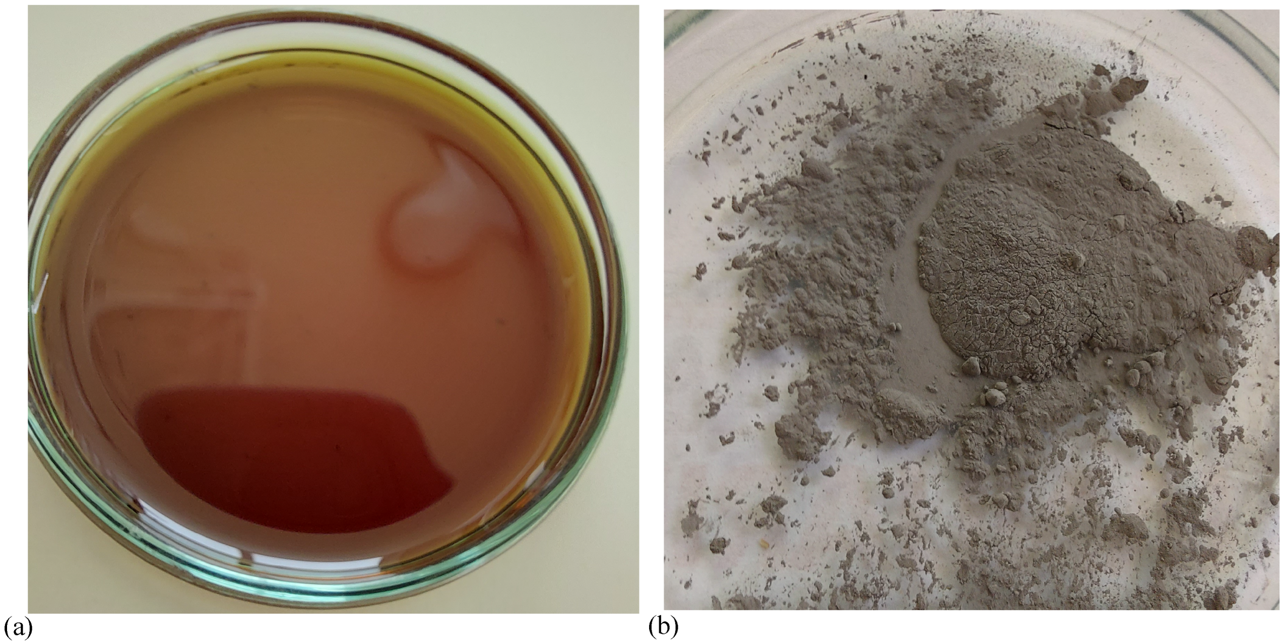 Preprints 152998 g002