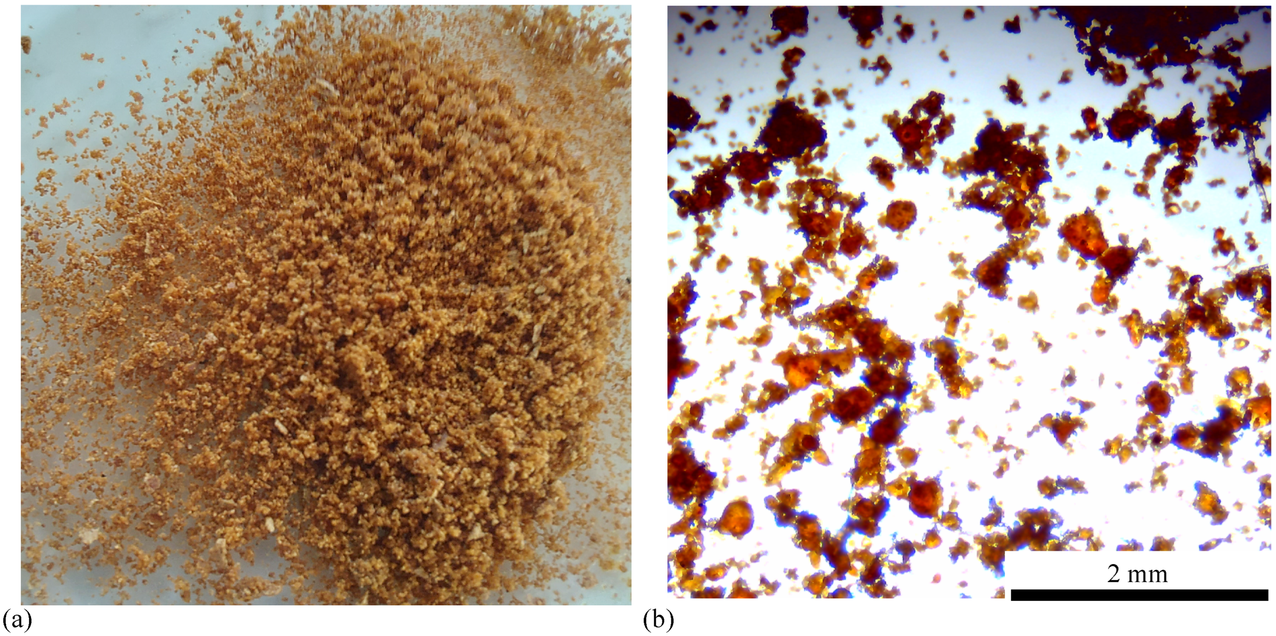 Preprints 152998 g003