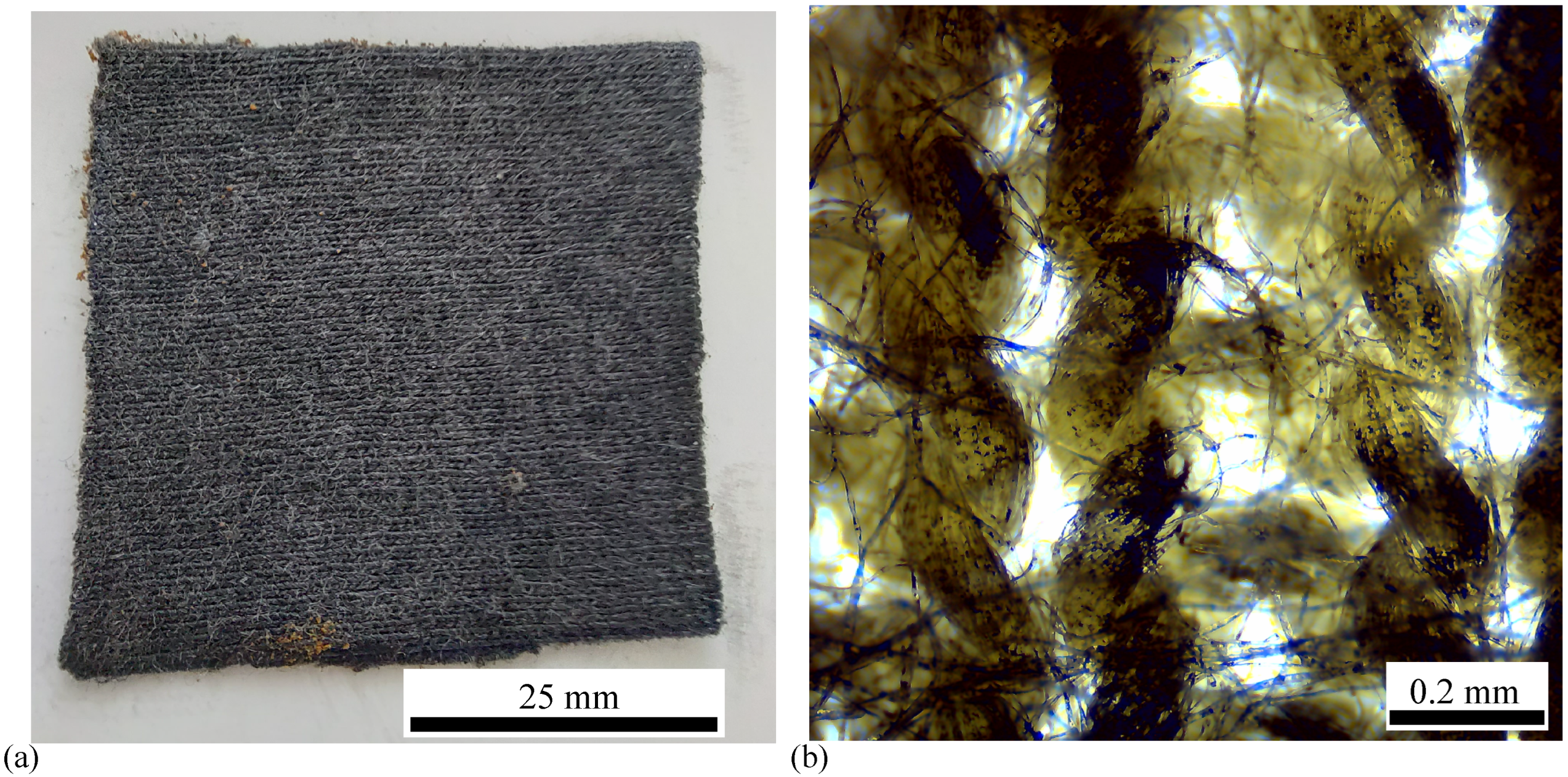Preprints 152998 g008