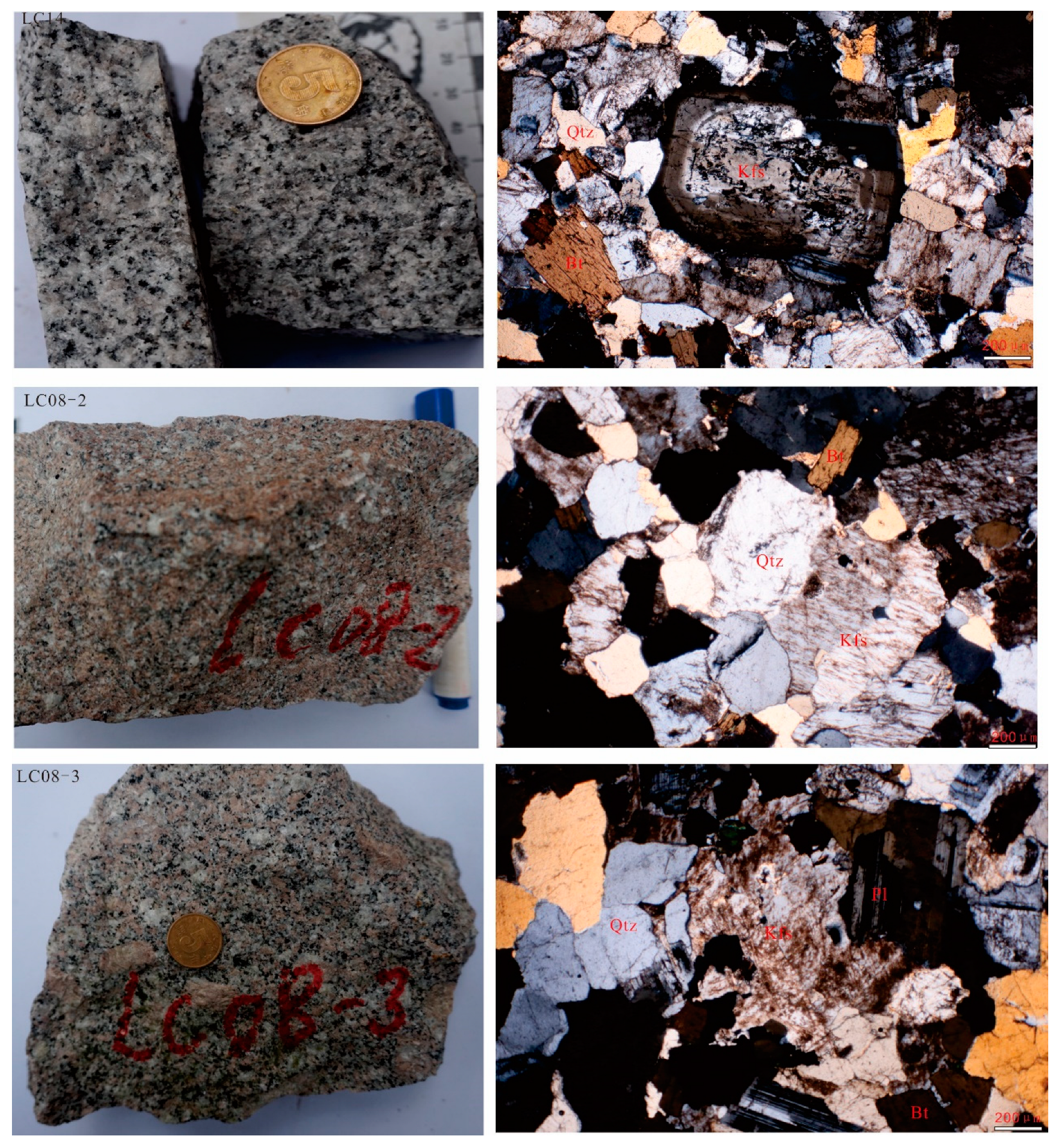 Preprints 139306 g003