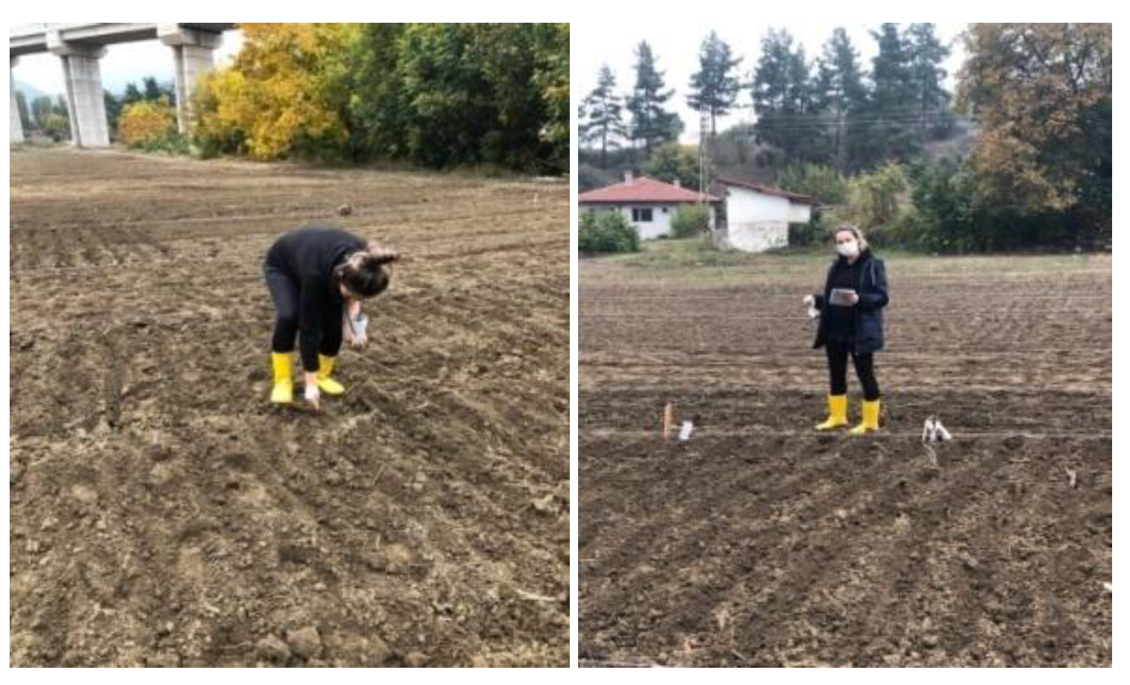 Preprints 164625 sch001