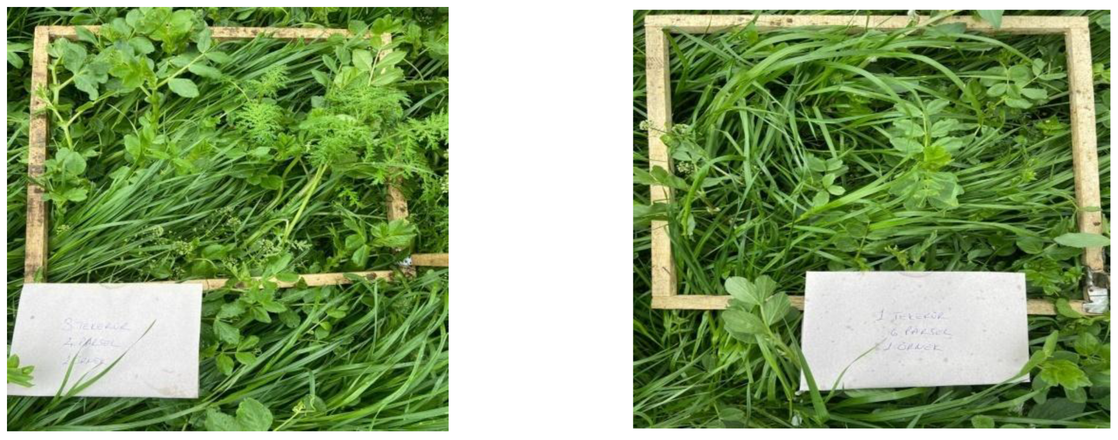 Preprints 164625 sch002