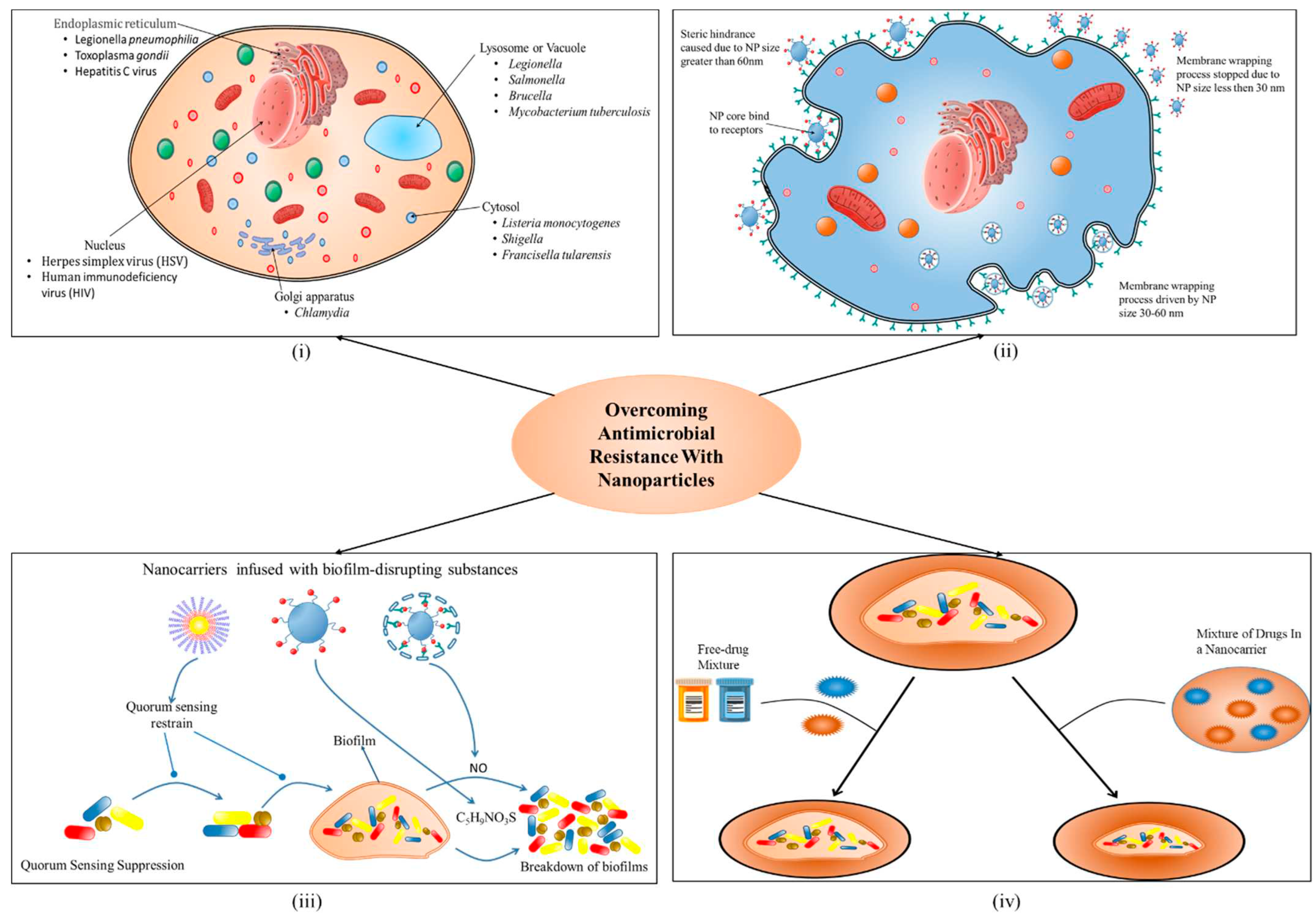 Preprints 74183 g002